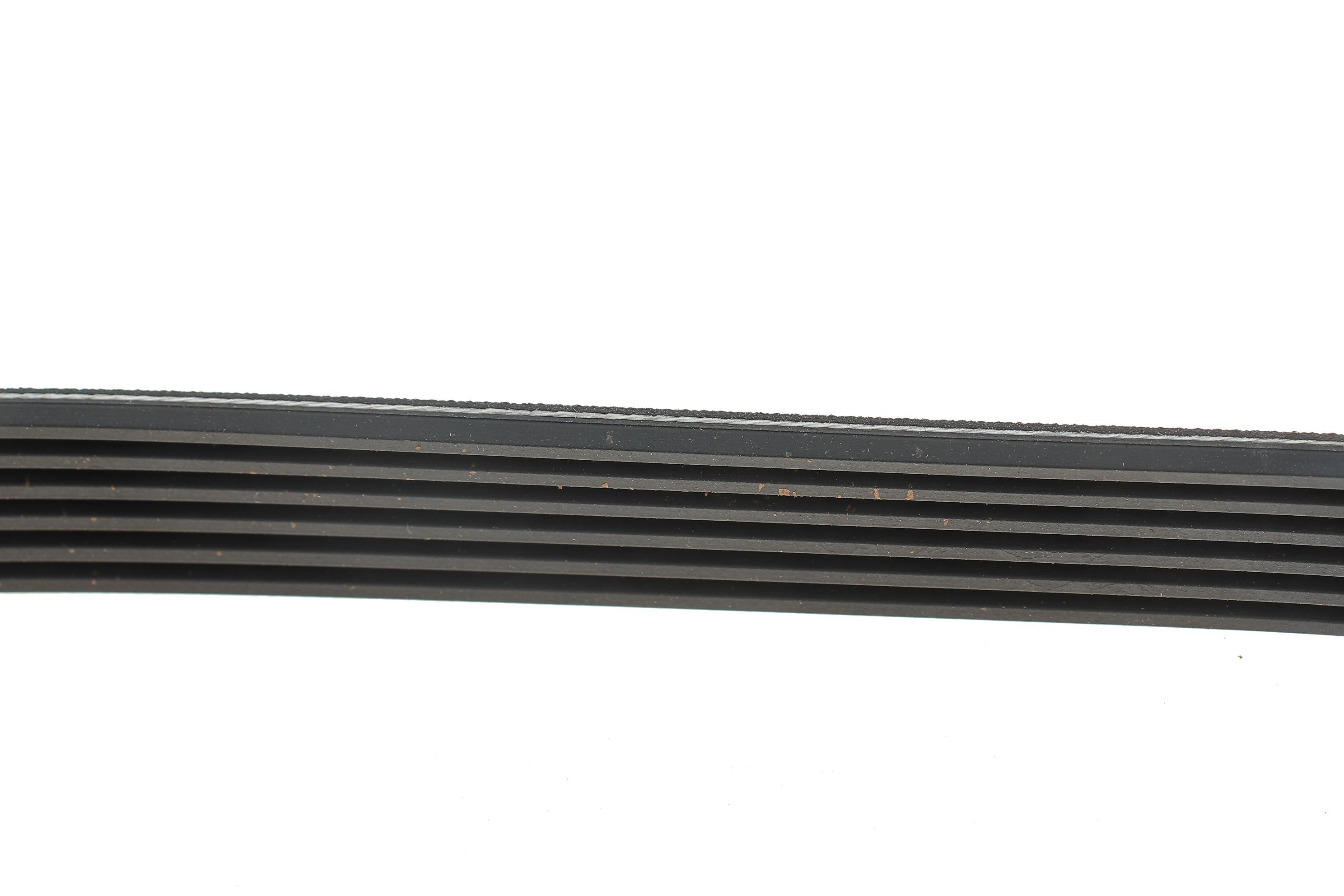 Ремінь генератора VW Crafter 2.0TDI 06- (6PK1613)