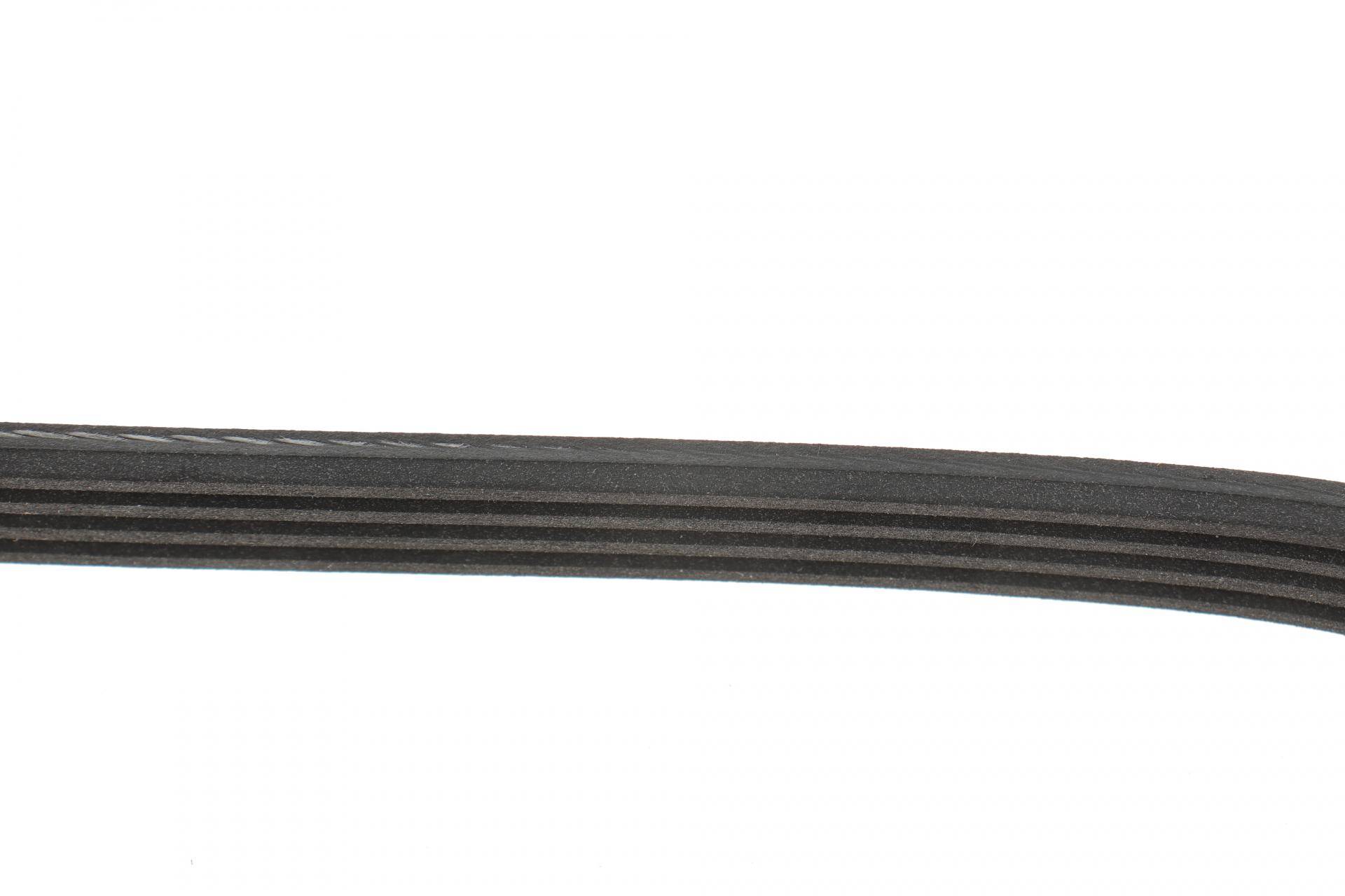 Ремінь генератора BMW 3 (E46)/Kia Rio 00-05