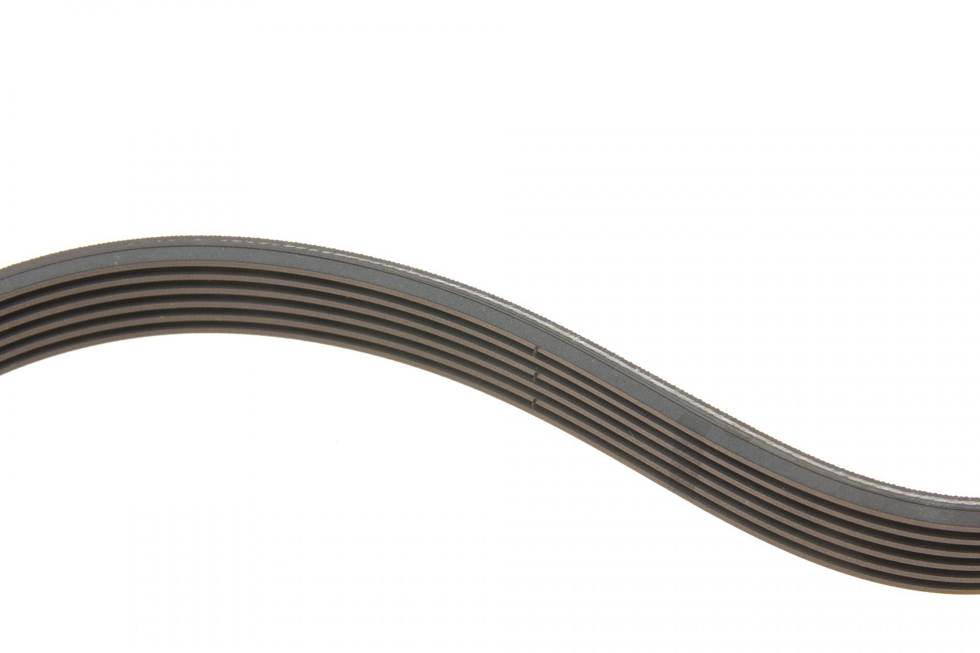 Комплект ременя генератора Ford Transit Connect 1.5/1.6D 10- (6PK966)