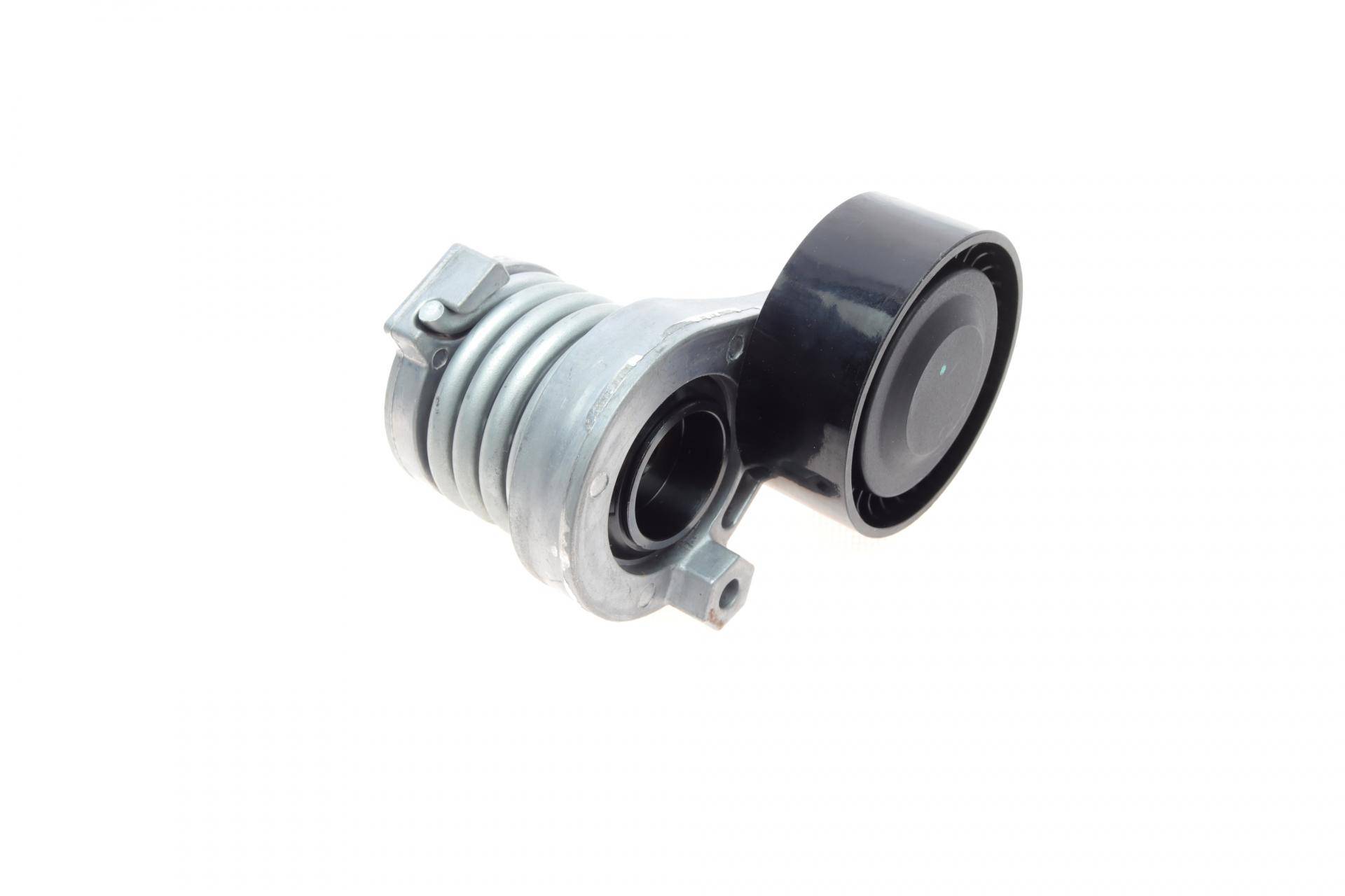 Натяжник ременя генератора Renault Kangoo 1.5dCi 09-