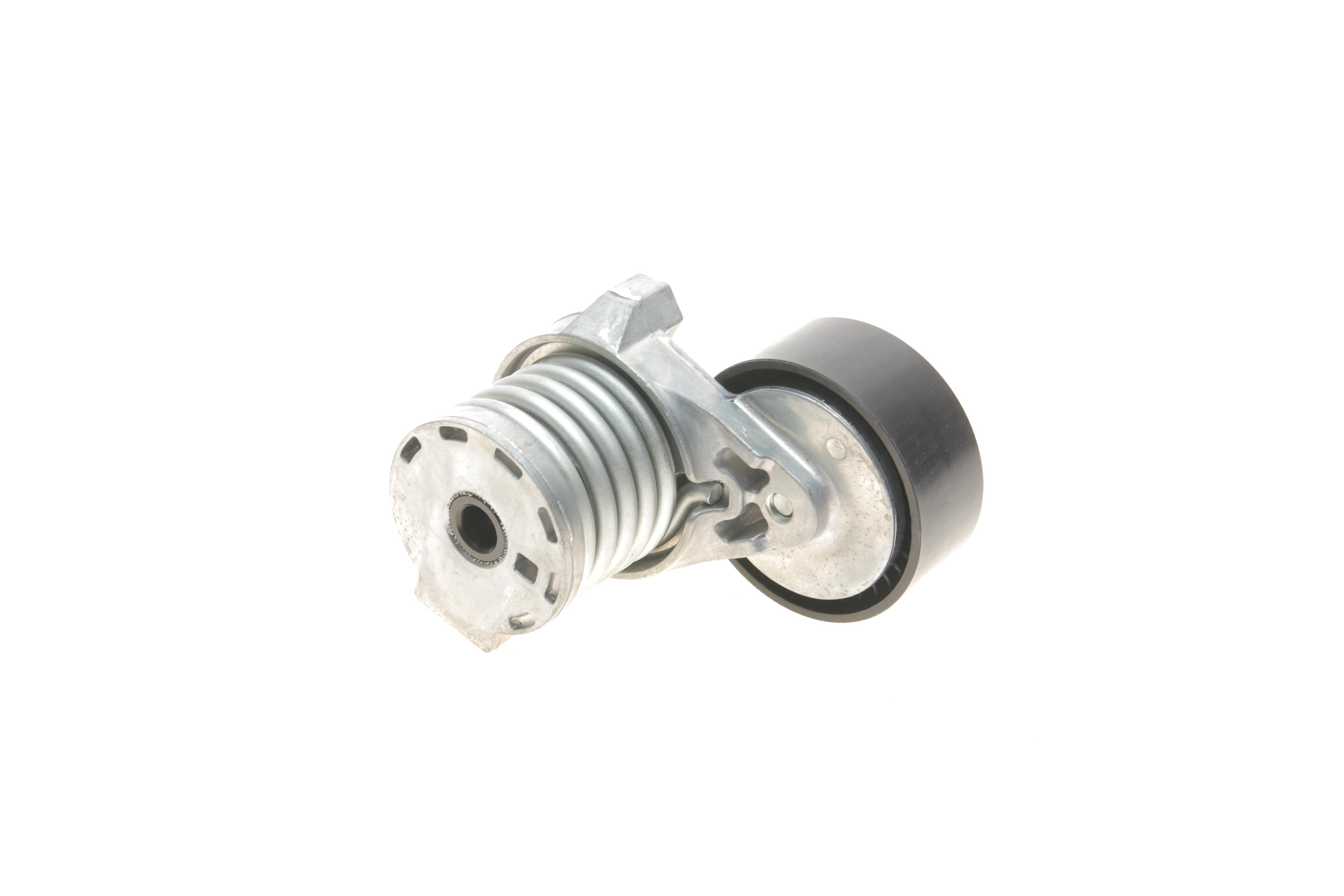 Натяжник ременя генератора Renault Kangoo 1.5dCi 09-