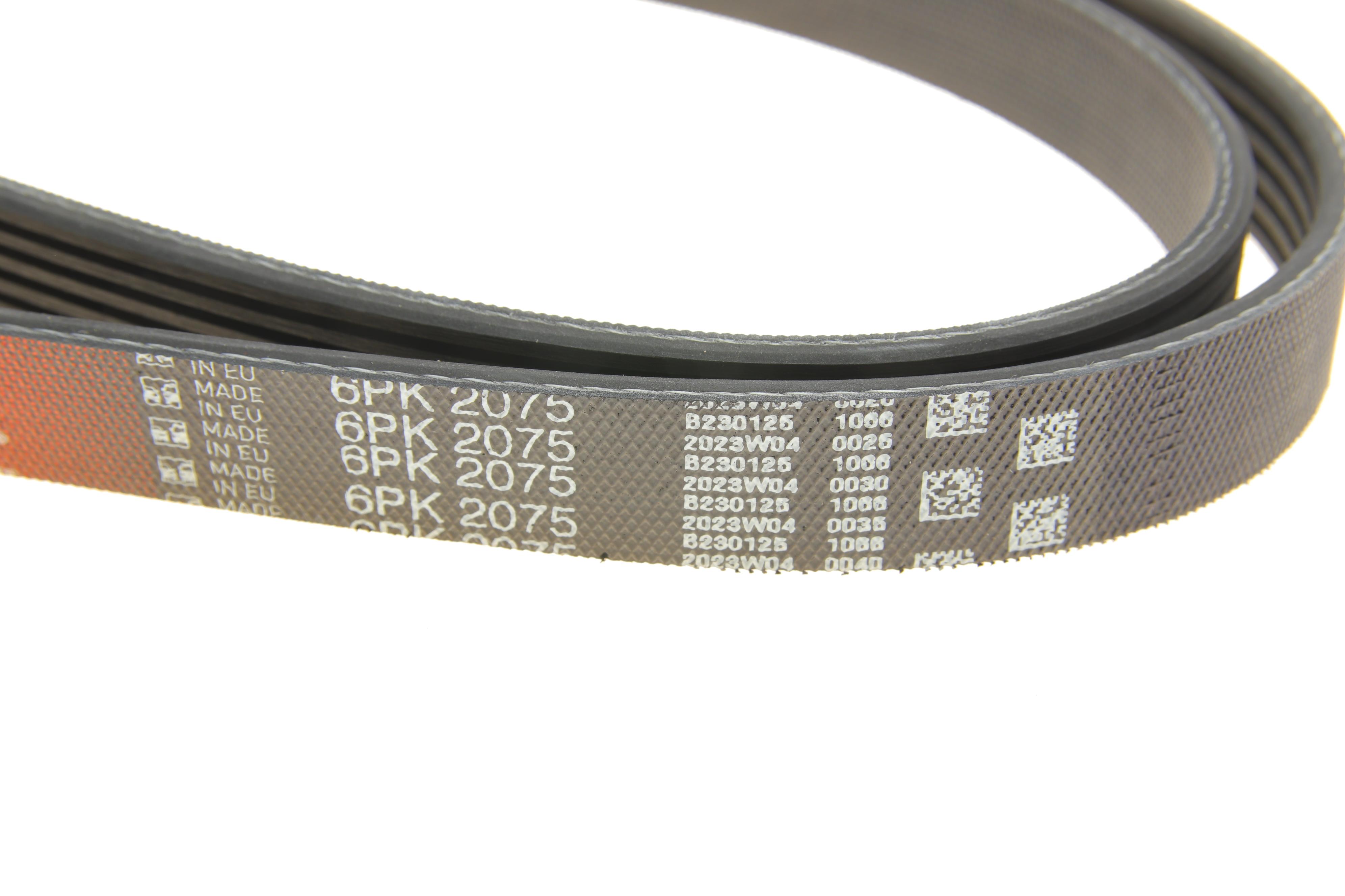 Ремінь генератора MB Vito (W638) 2.2 CDI 96-/VW T4 2.4D/2.5TDI 92-03