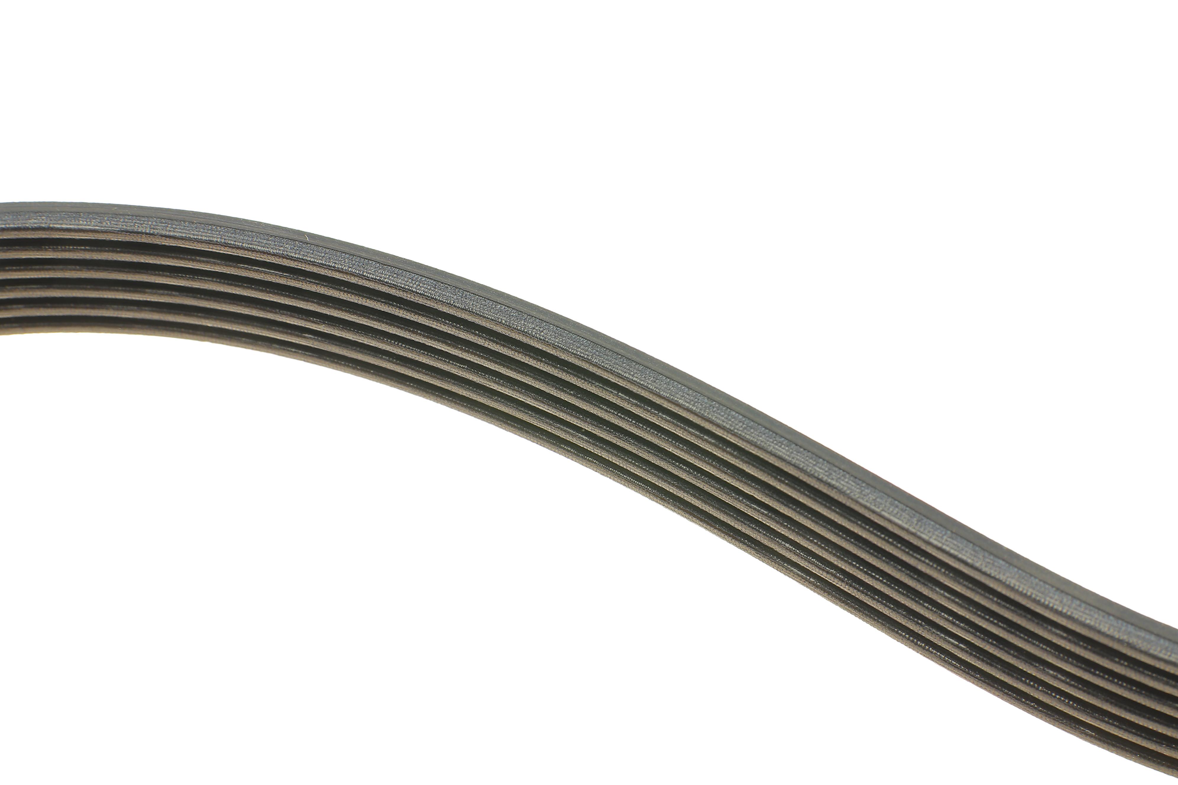 Ремінь генератора Fiat Ducato/Citroen Jumper 1.9D/TD 94-/Renault Trafic 2.5dCI 03-