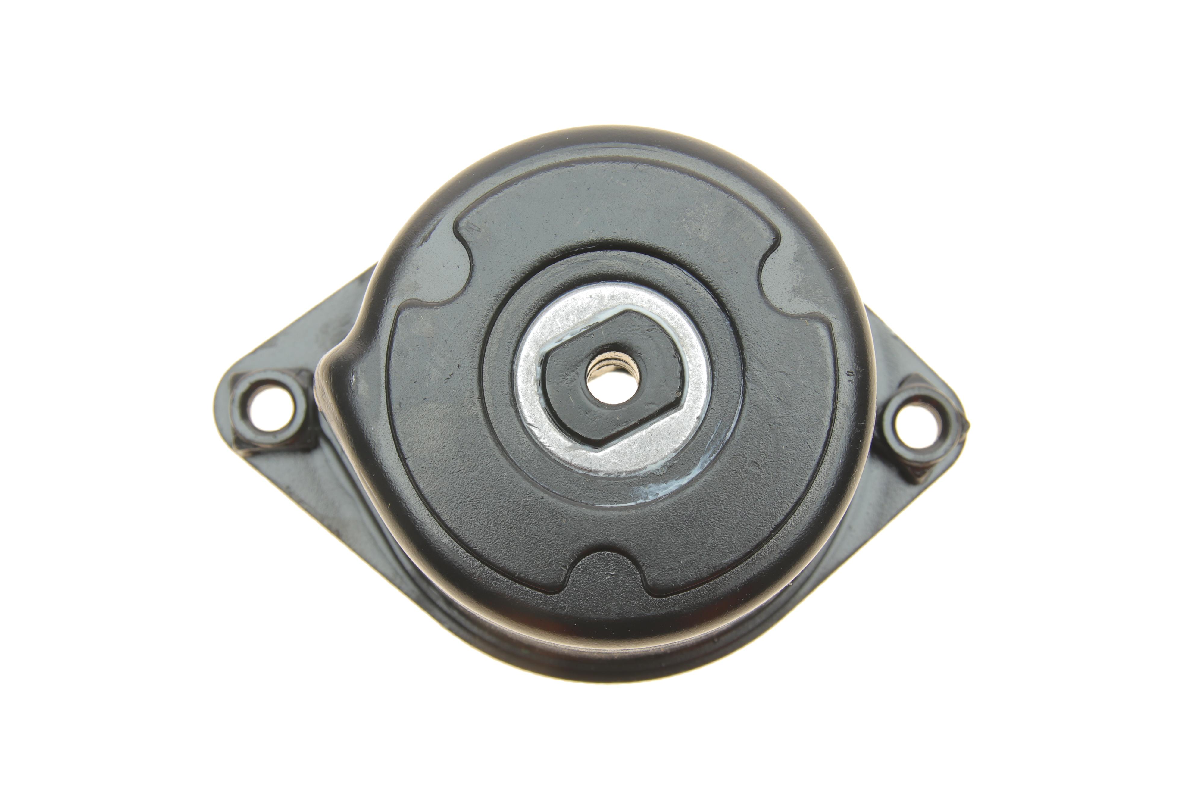 Натяжник ременя генератора BMW 3 (E46) 3.0D 99-, M57 D25/D30