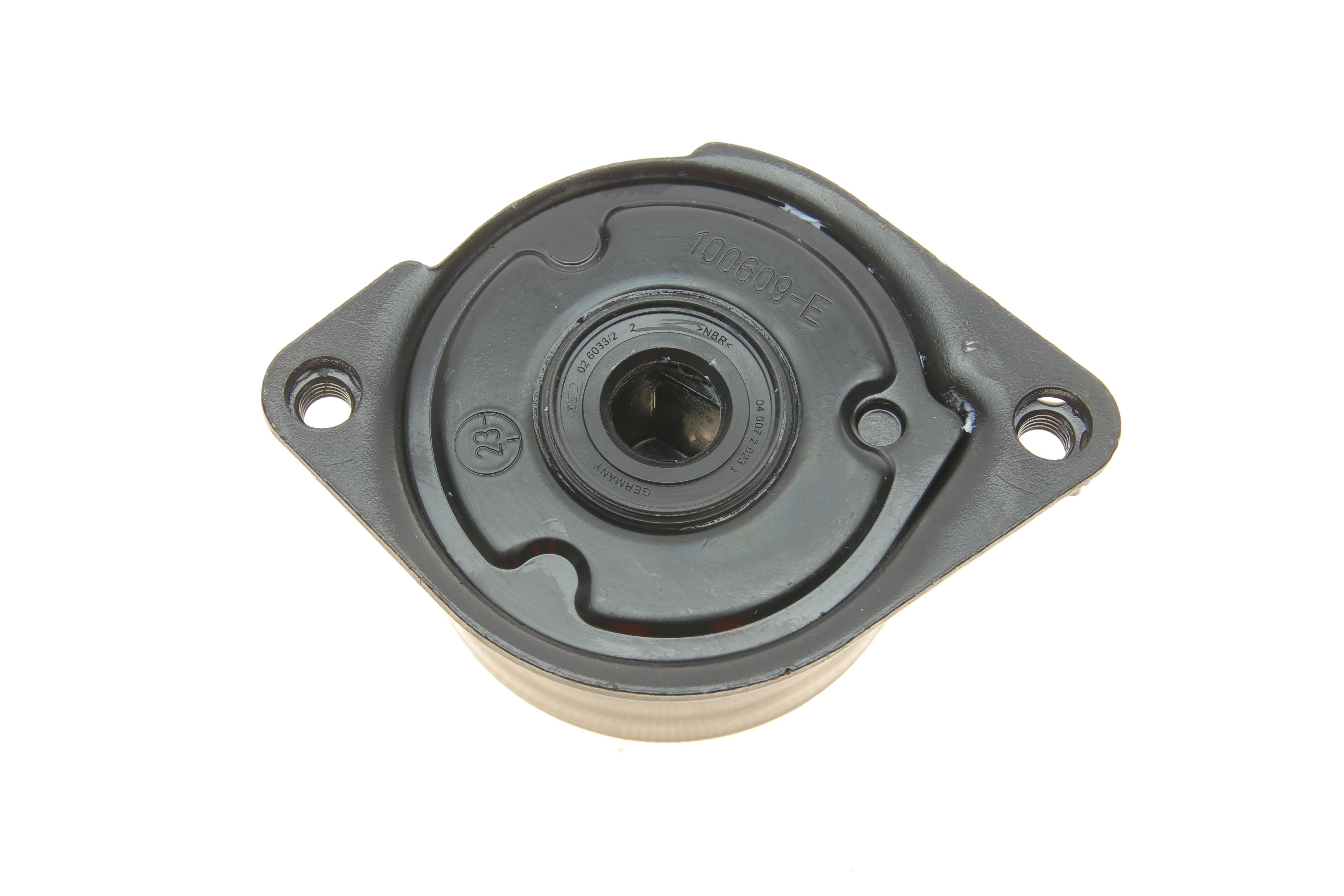 Натяжник ременя генератора BMW 3 (E46) 3.0D 99-, M57 D25/D30