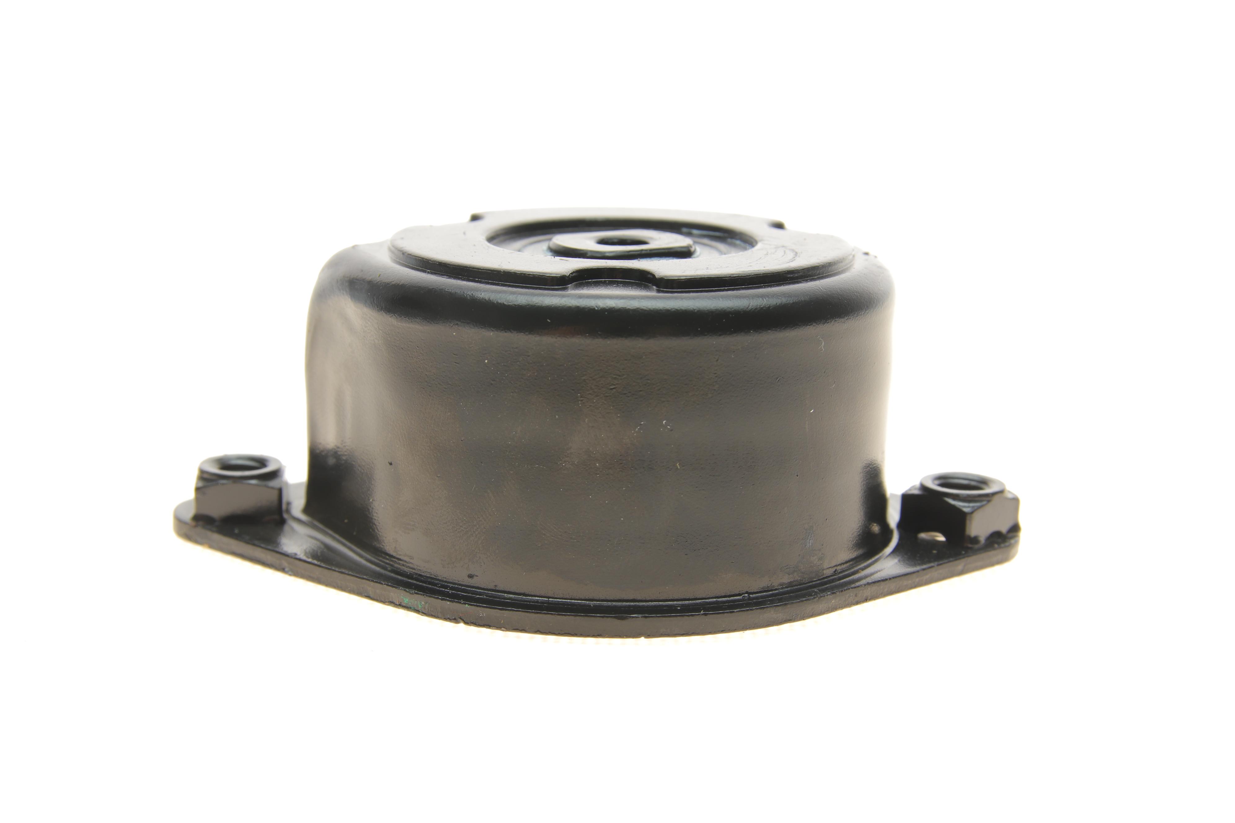 Натяжник ременя генератора BMW 3 (E46) 3.0D 99-, M57 D25/D30