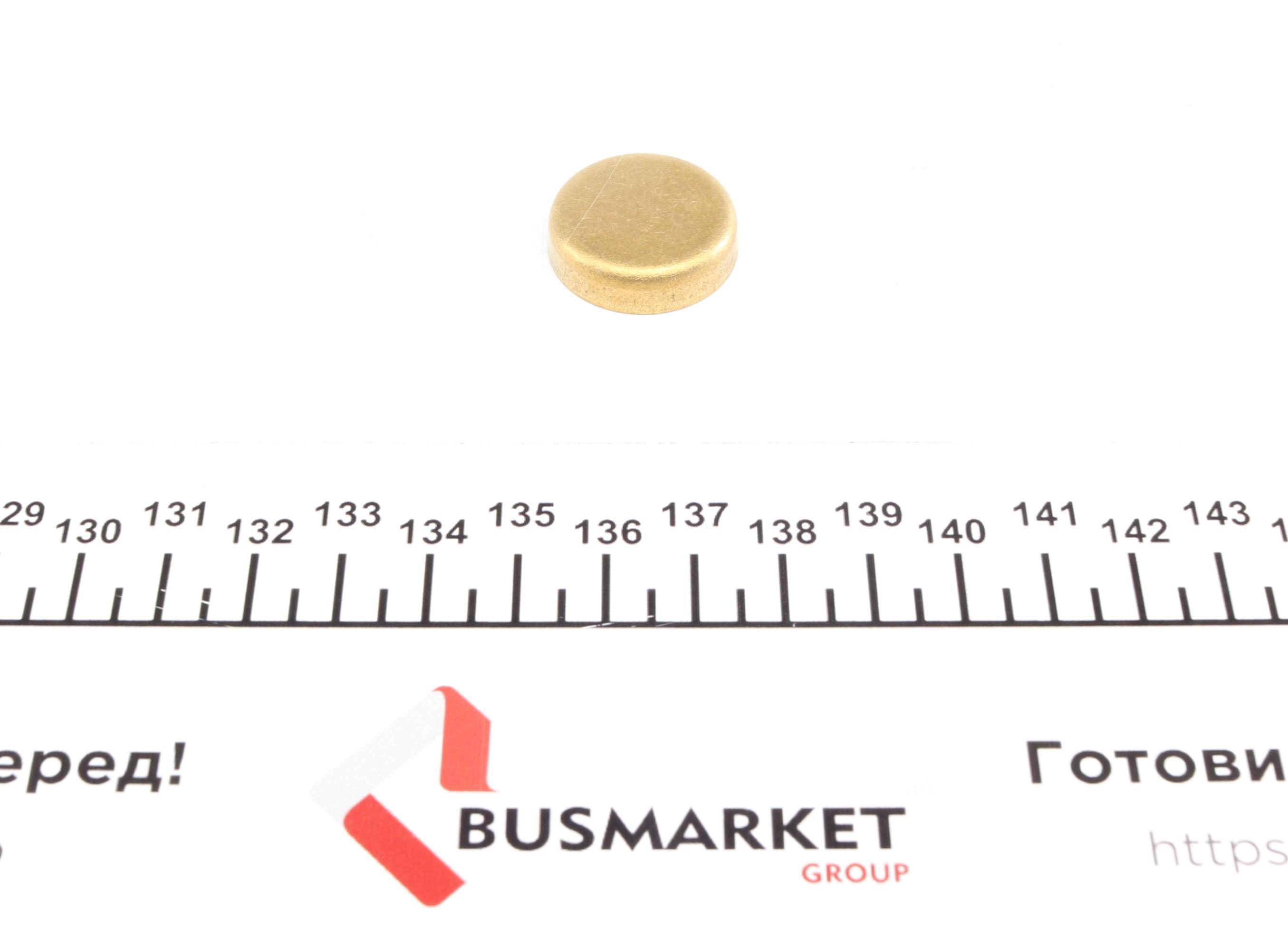 Заглушка блоку циліндрів (d=24mm) Латунь/Brass