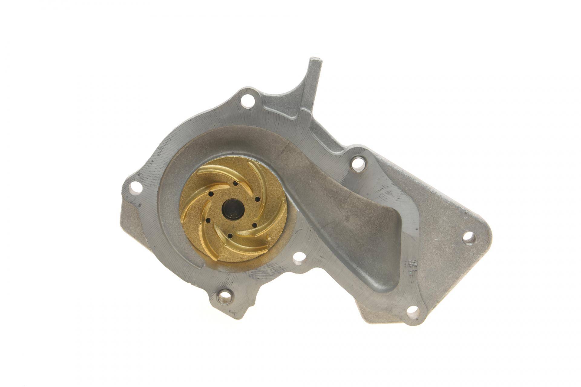 Комплект ГРМ + помпа Ford C-Max/Fiesta/Focus/Mondeo 1.25/1.4/1.6 05-/Volvo 1.6 07-12 (117x22)(PA990)