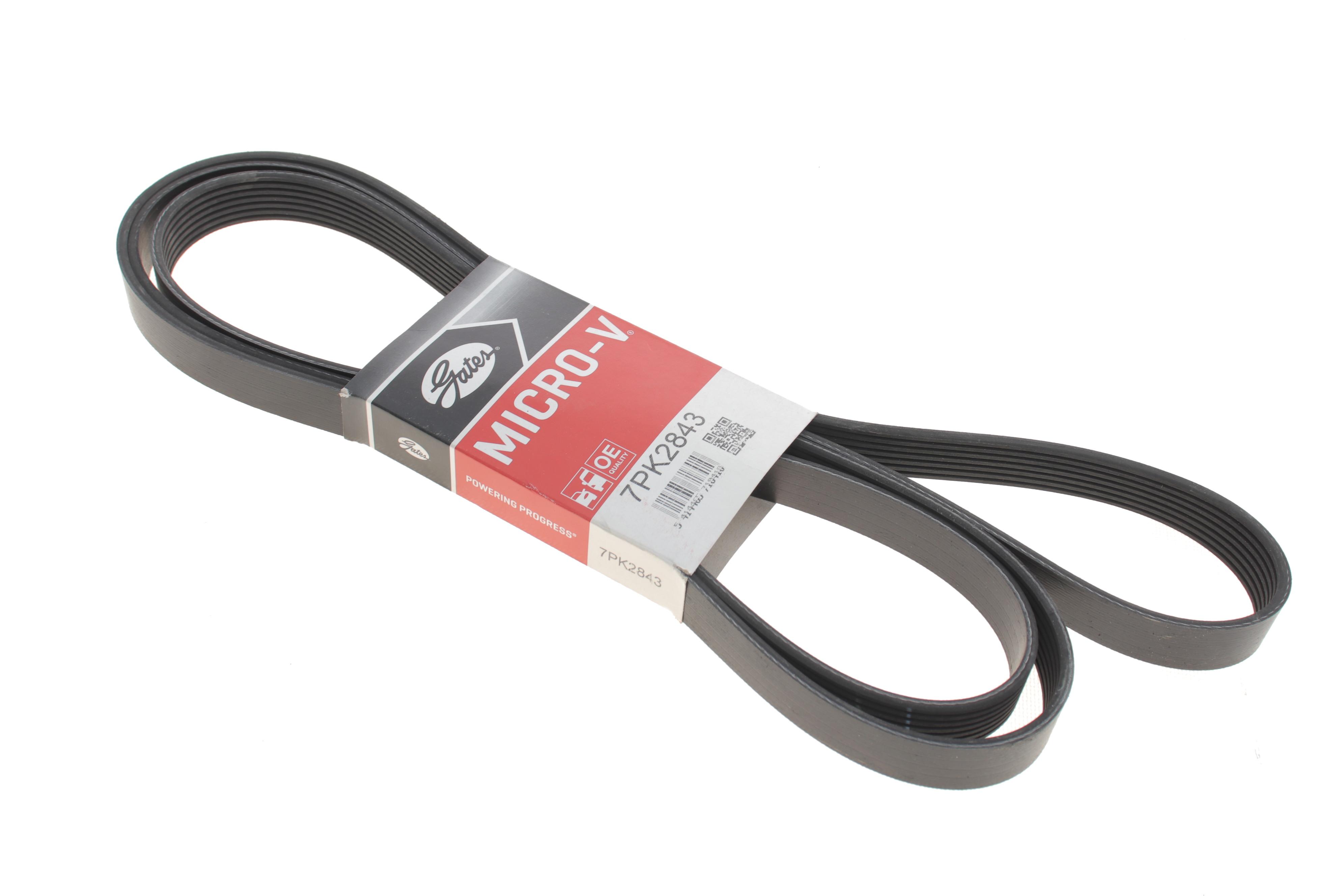 Ремінь генератора Ford Transit 2.4 TDCI 06-