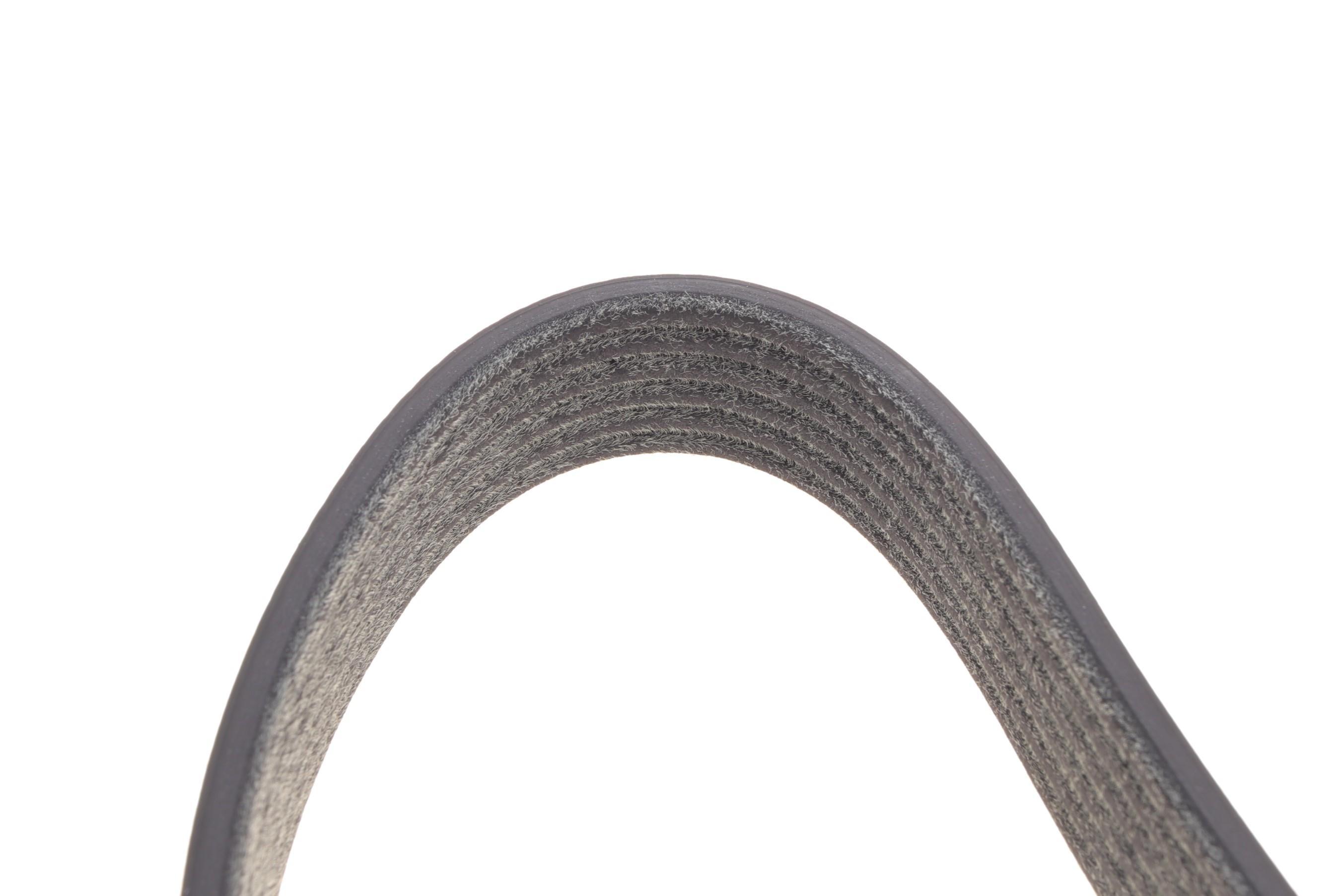 Ремінь генератора Fiat Bravo 1.6 D Multijet 08-14/500L 1.6 D 08-(1035mm)