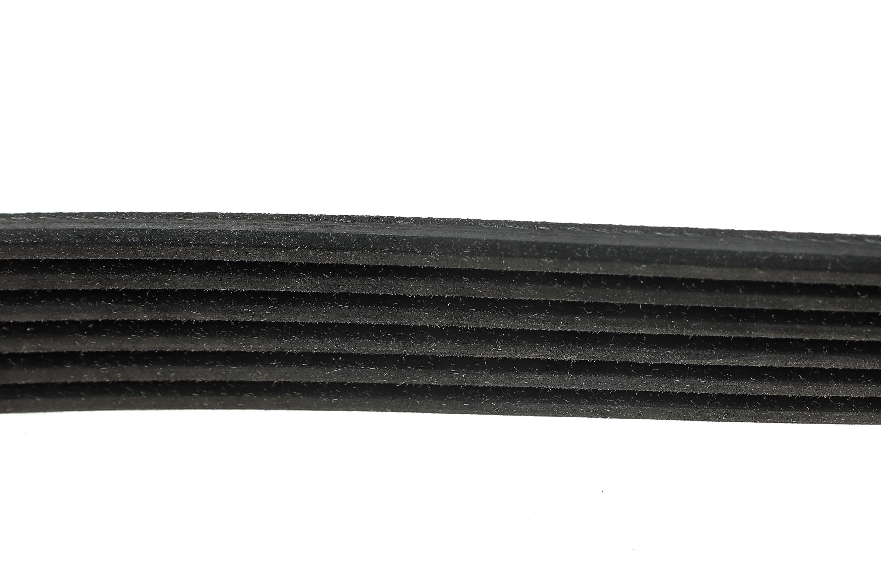 Ремінь генератора Fiat Ducato 2.0JTD 01- (ALT, AC)