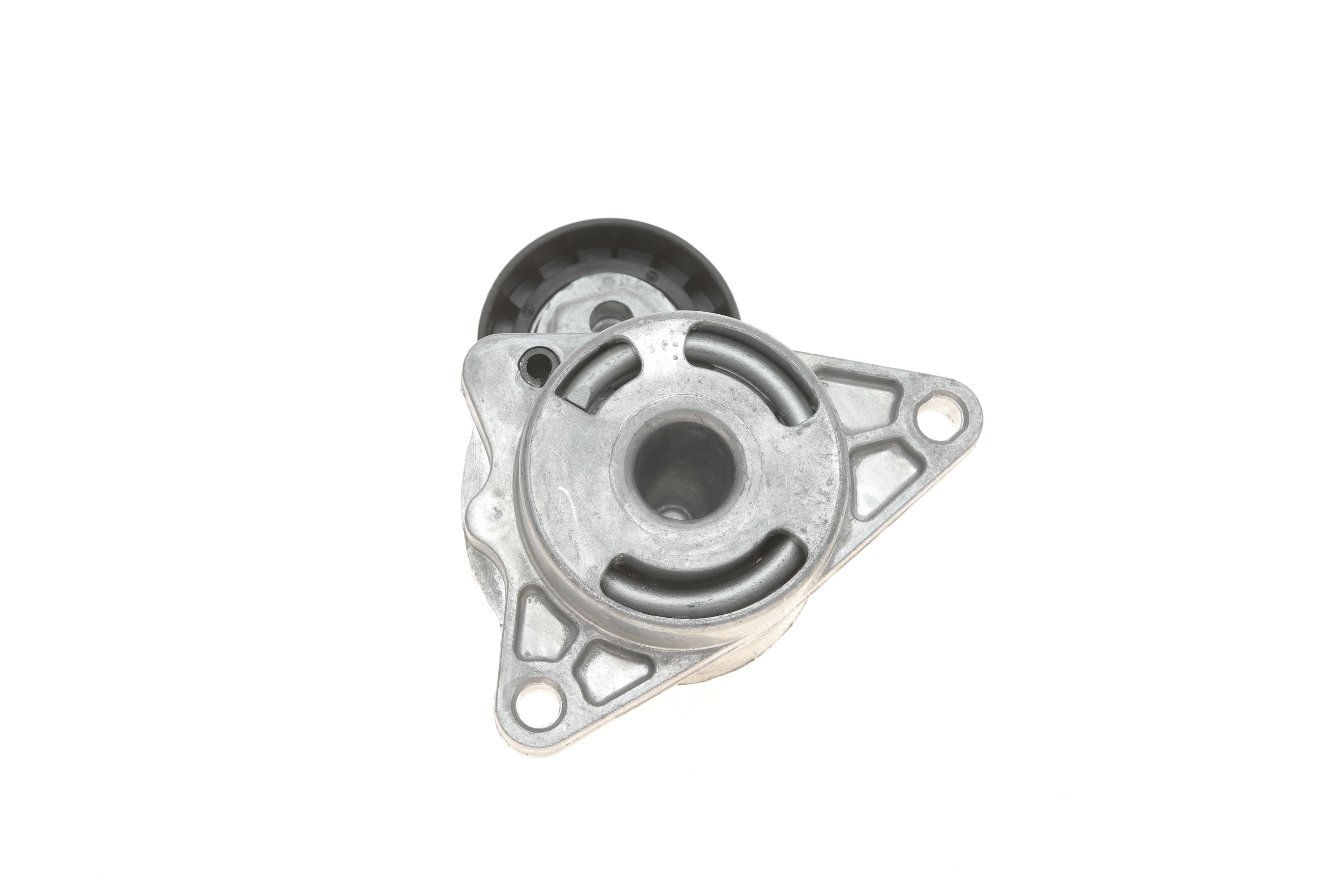 Натяжник ременя генератора Renault Master/Trafic 2.2-2.5dCi 02-