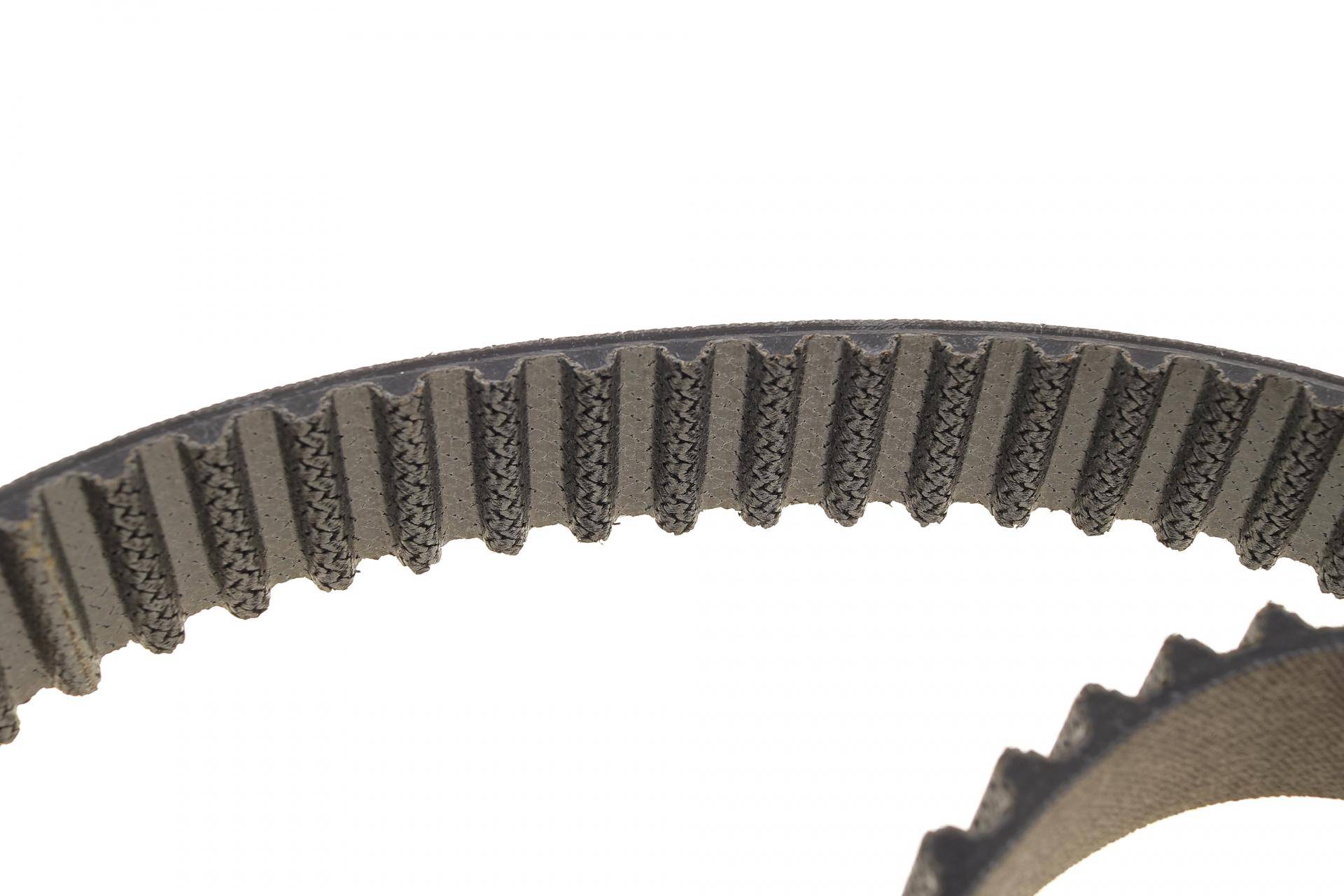 Комплект ГРМ + помпа VW T6/Golf/Passat/Caddy 1.6/2.0 TDI 15- (145x25)(помпа P669M)