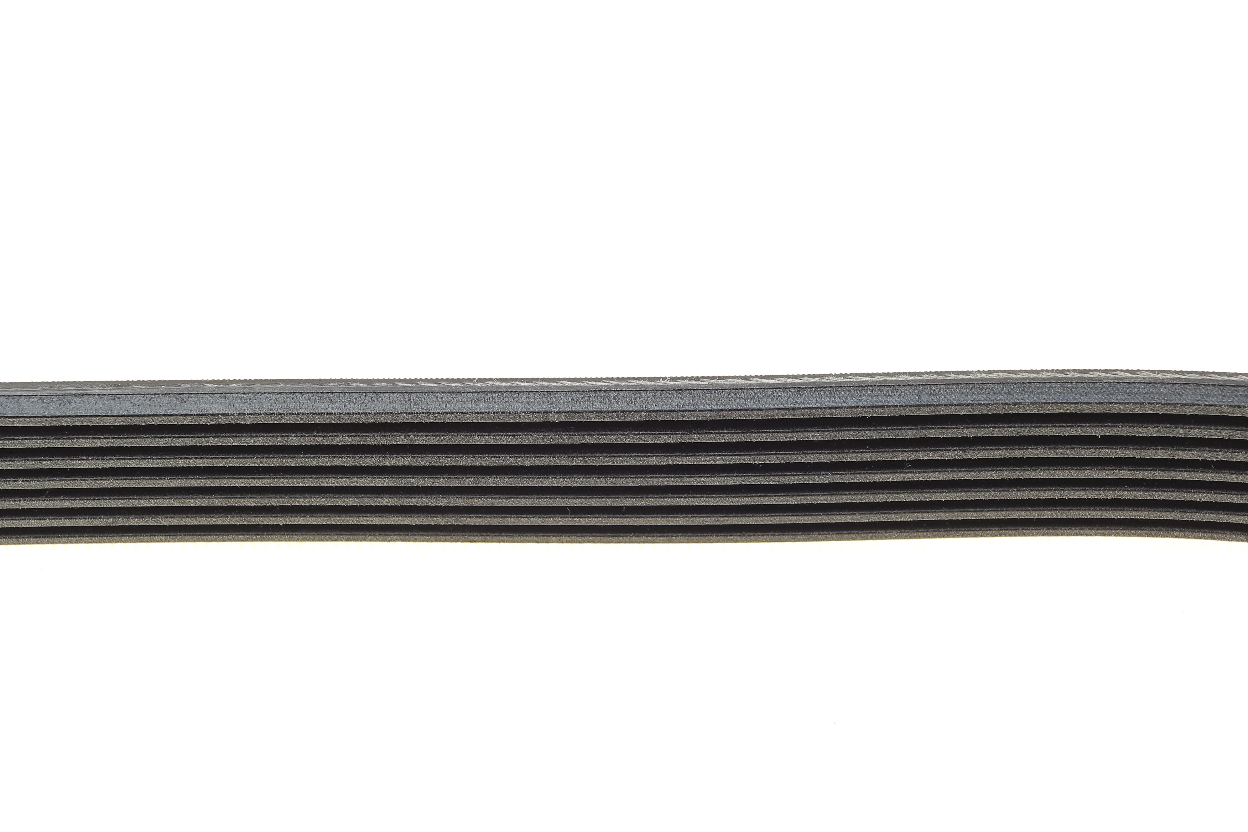 Ремінь генератора Renault Trafic/Opel Vivaro/Nissan Primastar 2.0CDTi 06-