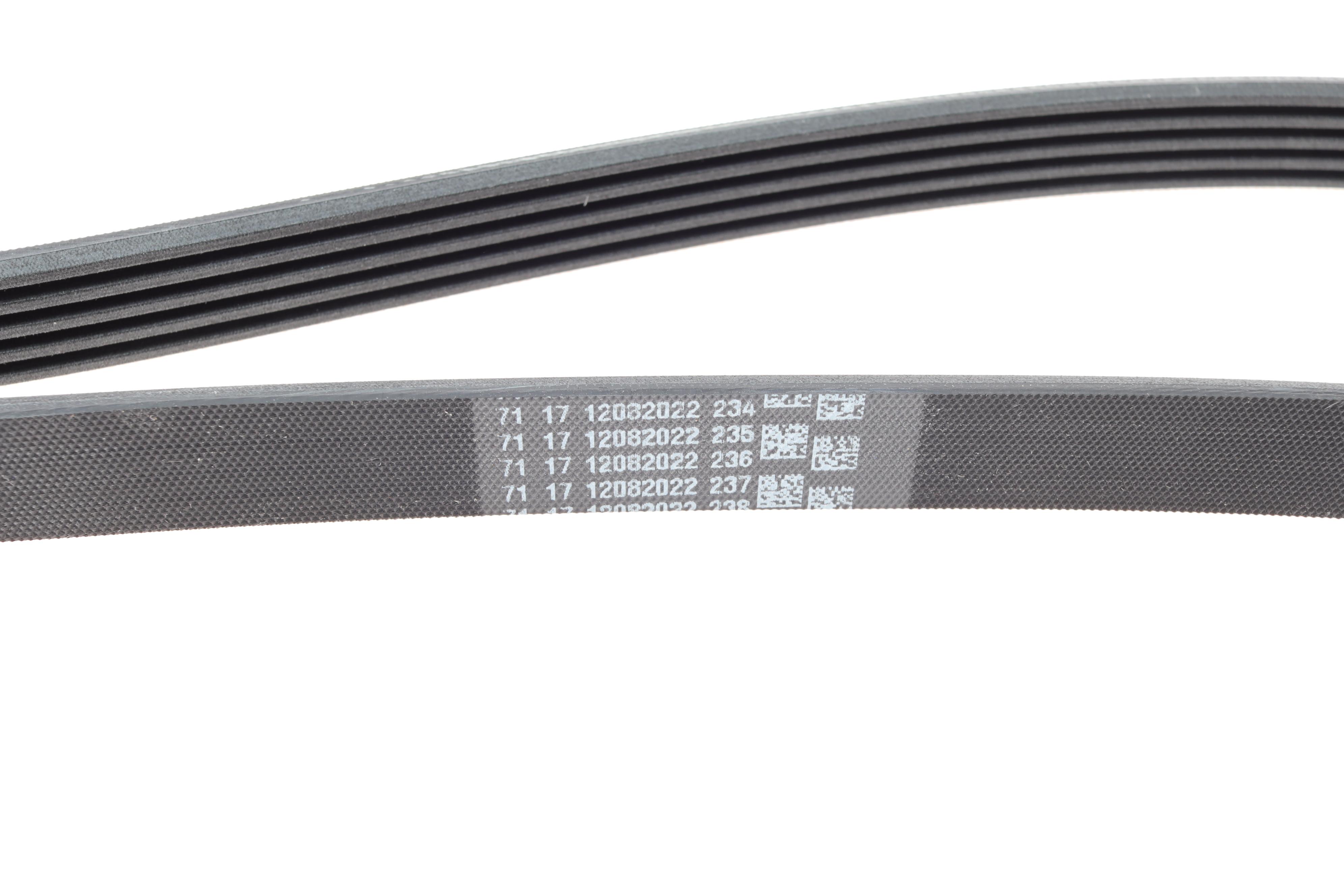 Ремінь генератора Opel Astra G/H/Zafira 1.6/1.8 04-12