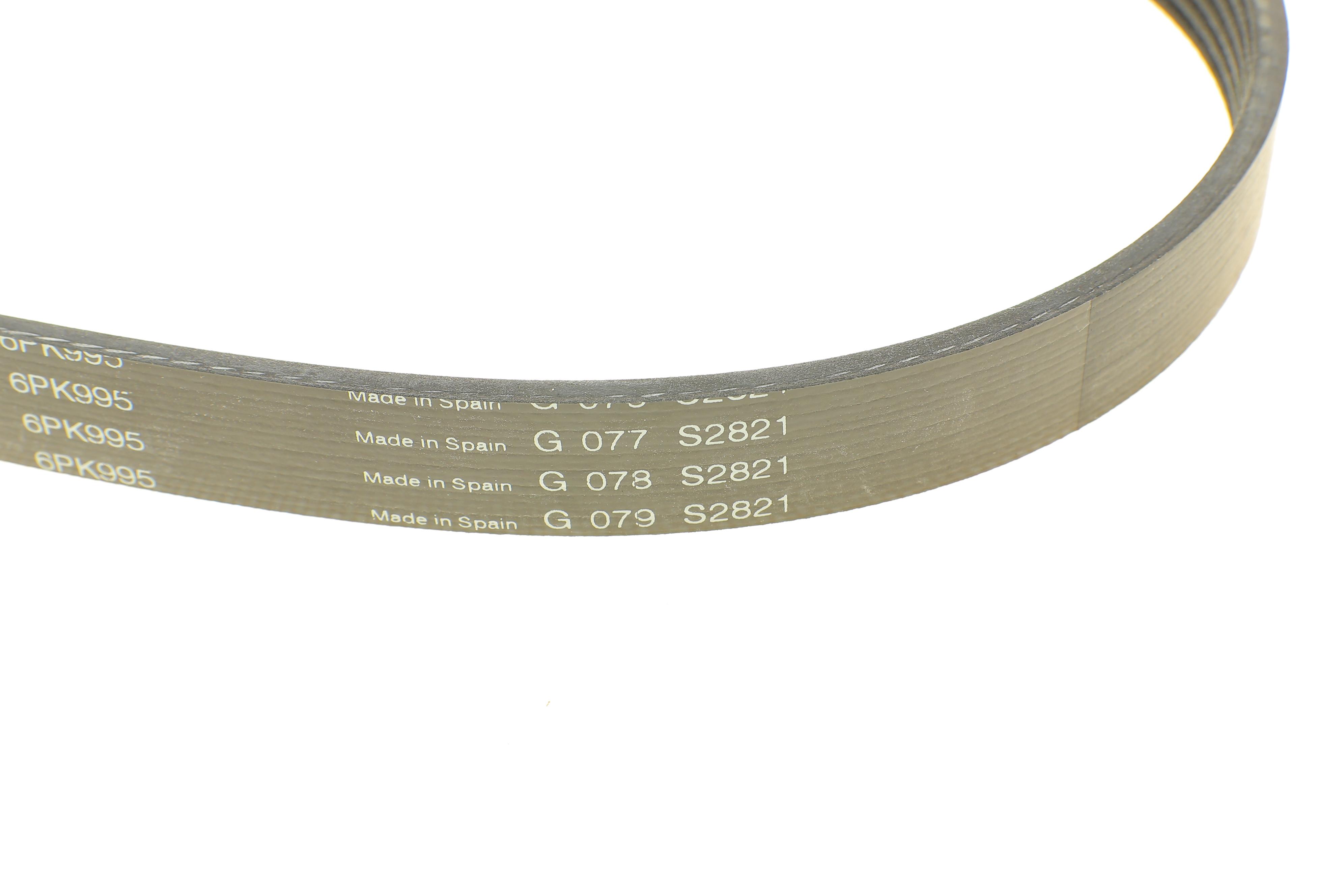 Ремінь генератора Citroen Jumper/Fiat Ducato 2.8HDi/JTD 00- (ALT, WP)