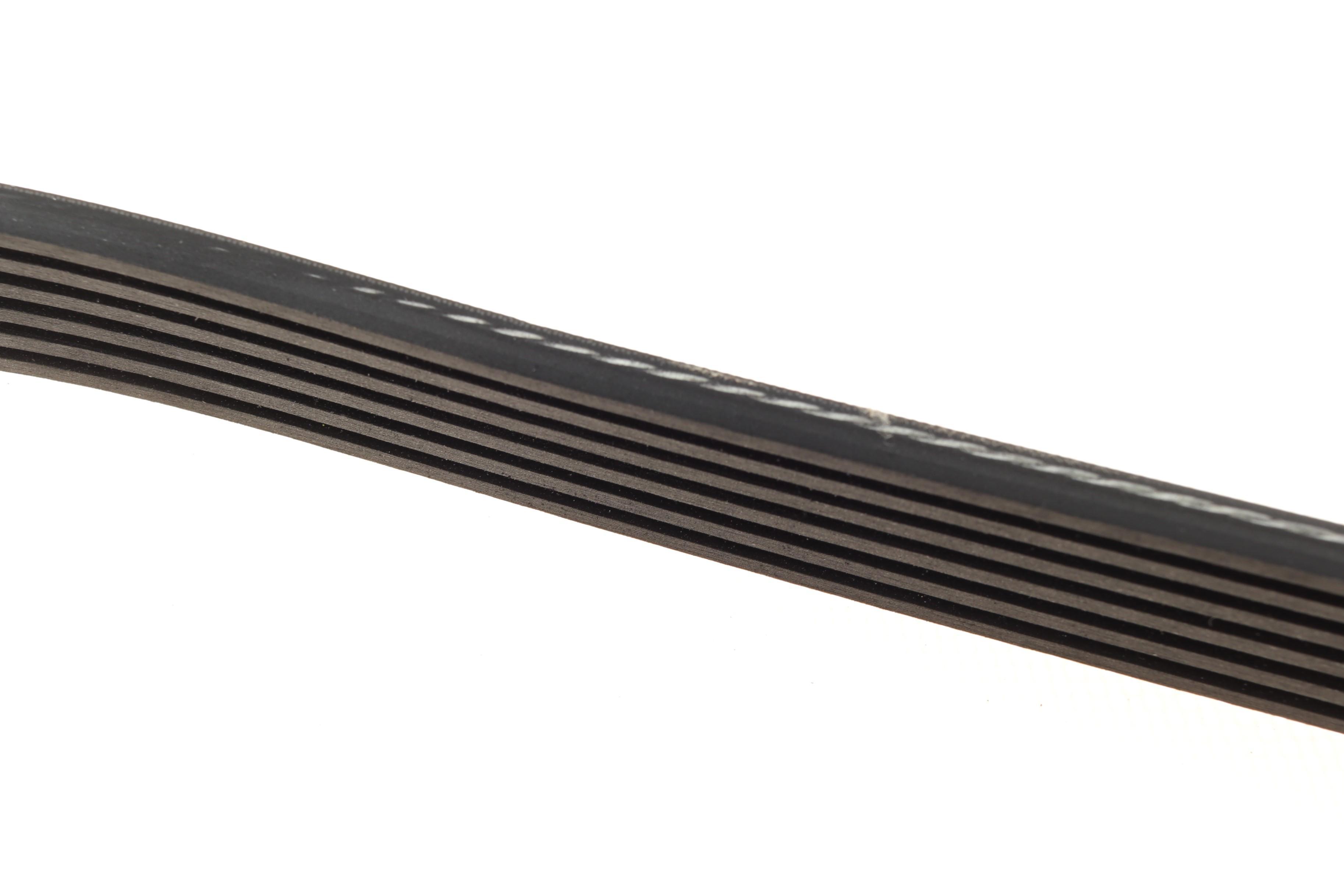 Ремінь генератора Fiat Scudo/Citroen Berlingo/VW Golf IV 1.8/1.9TDI 97- (6PK1660)