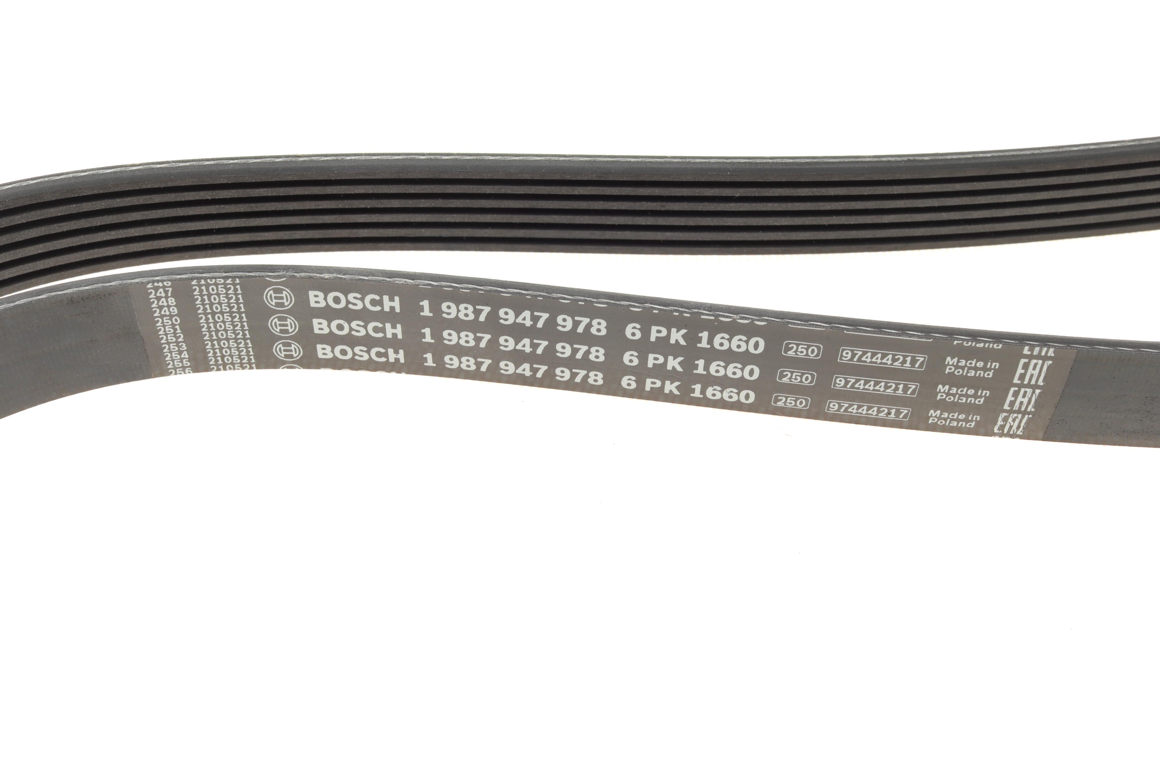 Ремінь генератора Fiat Scudo/Citroen Berlingo/VW Golf IV 1.8/1.9TDI 97- (6PK1660)