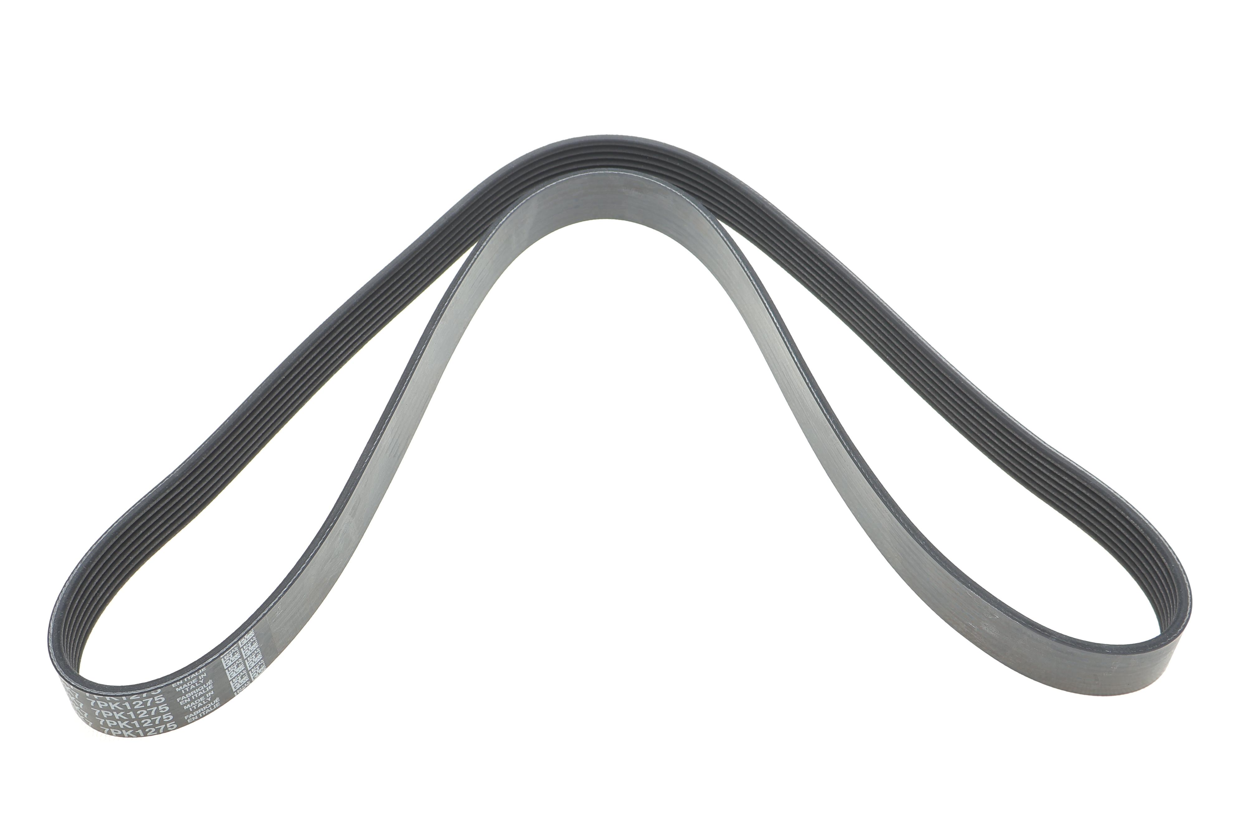 Ремінь генератора Nissan Navara 2.5 dci 05-