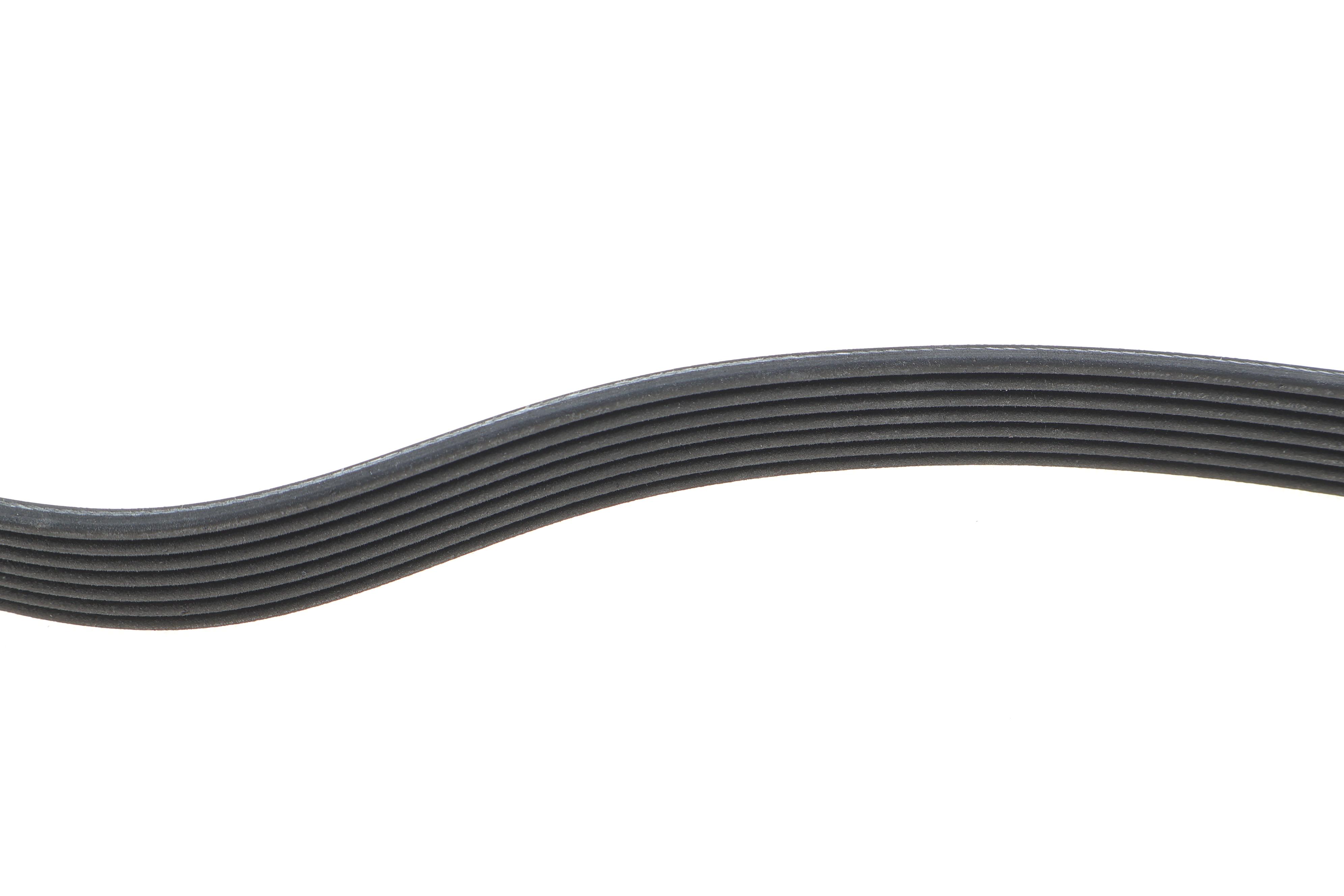 Ремінь генератора Nissan Navara 2.5 dci 05-