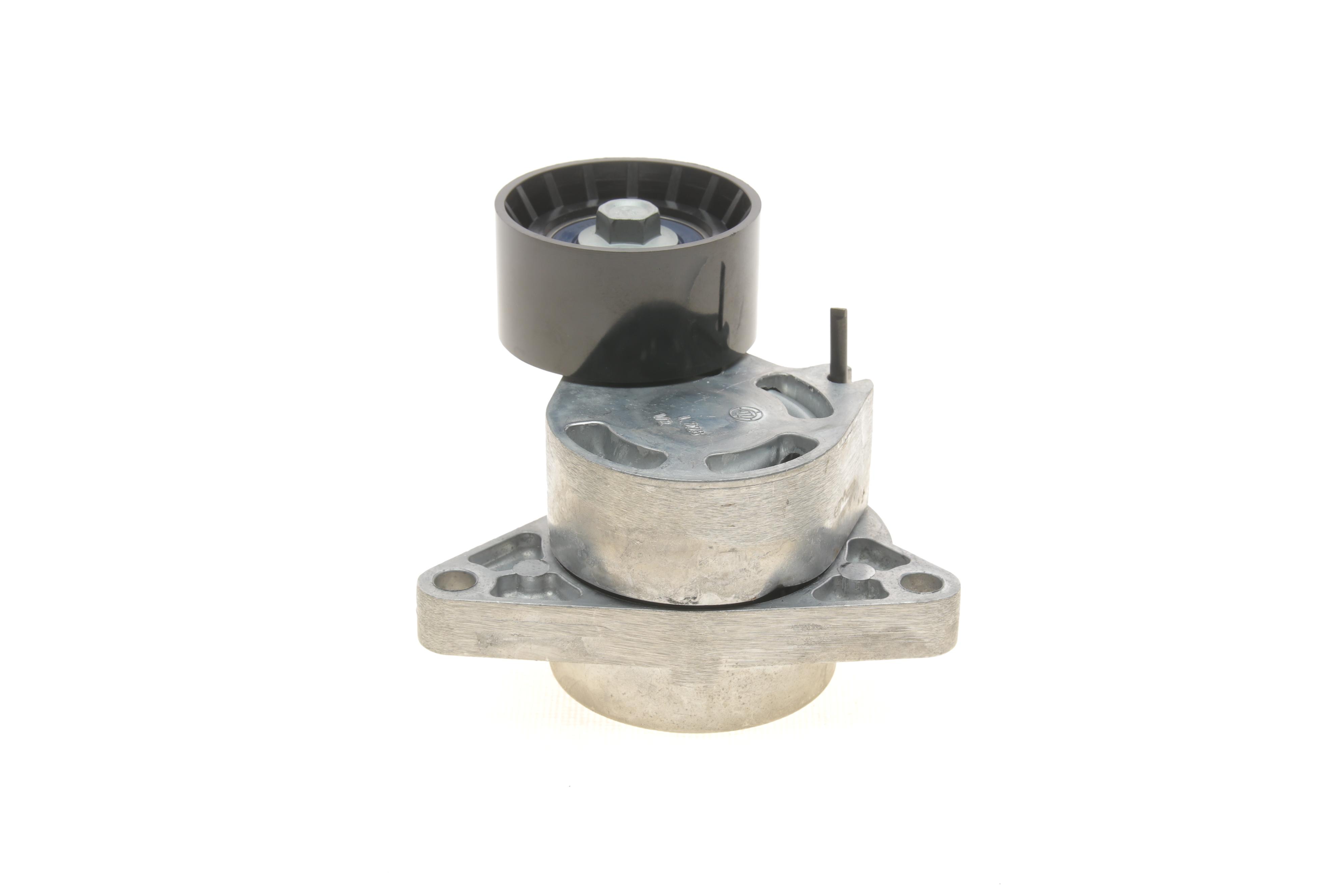 Натяжник ременя генератора Renault Master/Trafic 2.2-2.5dCi 02-