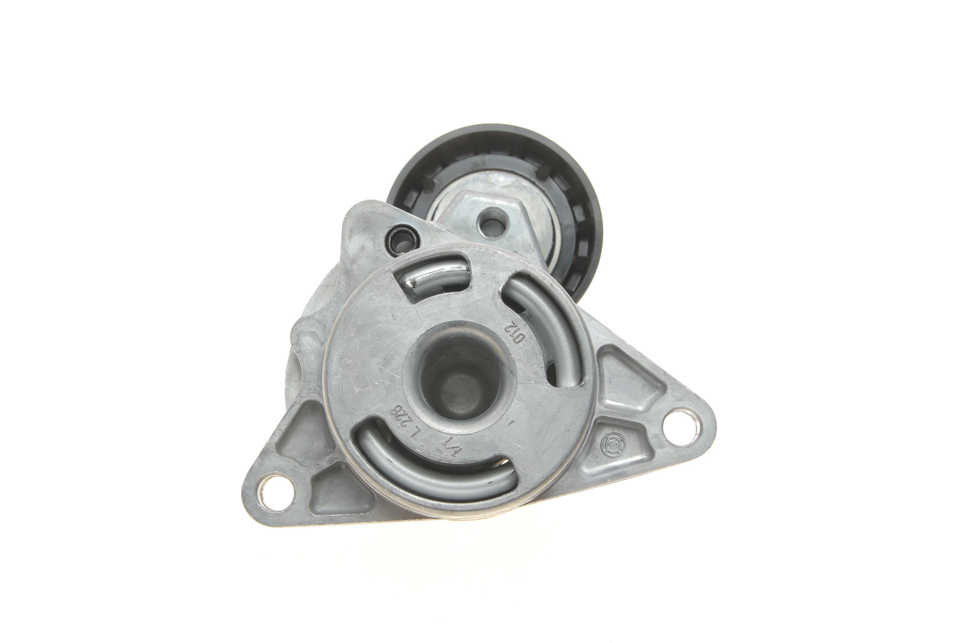 Натяжник ременя генератора Renault Master/Trafic 2.2-2.5dCi 02-