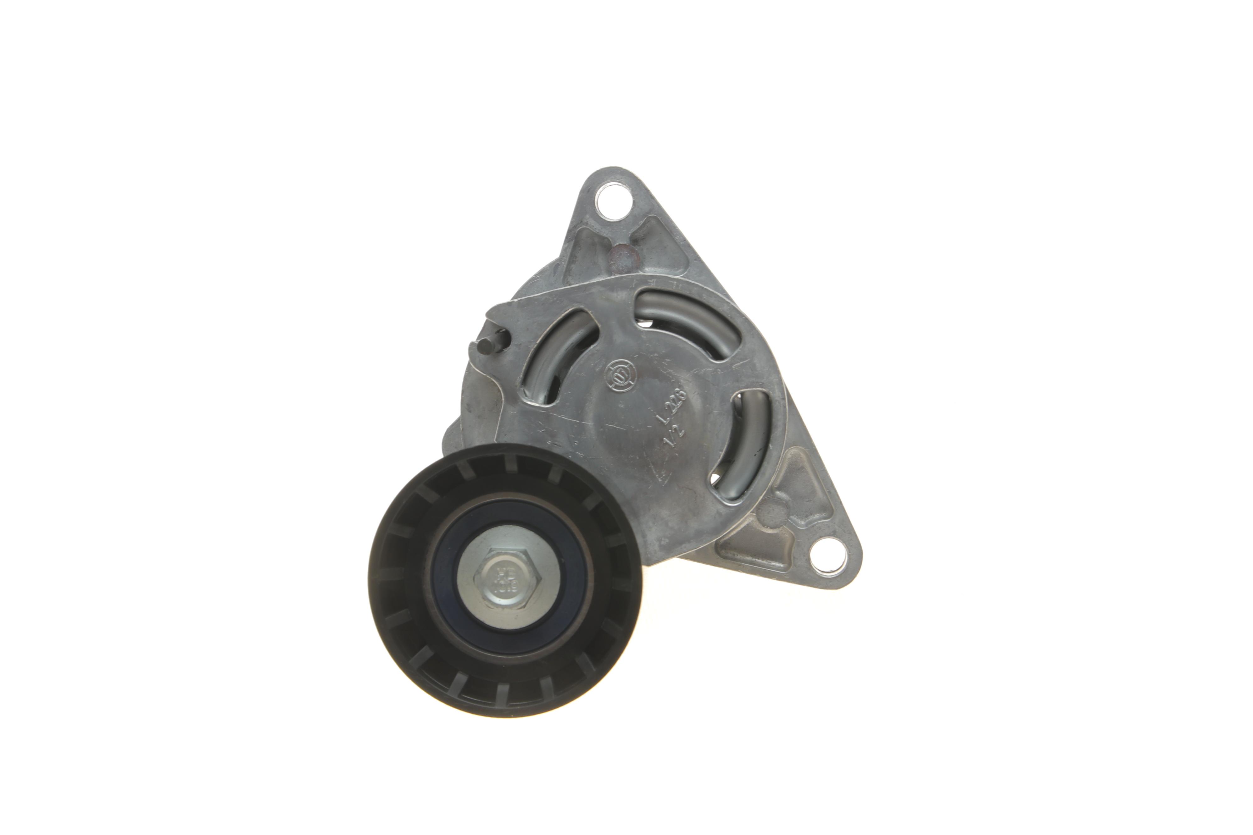 Натяжник ременя генератора Renault Master/Trafic 2.2-2.5dCi 02-