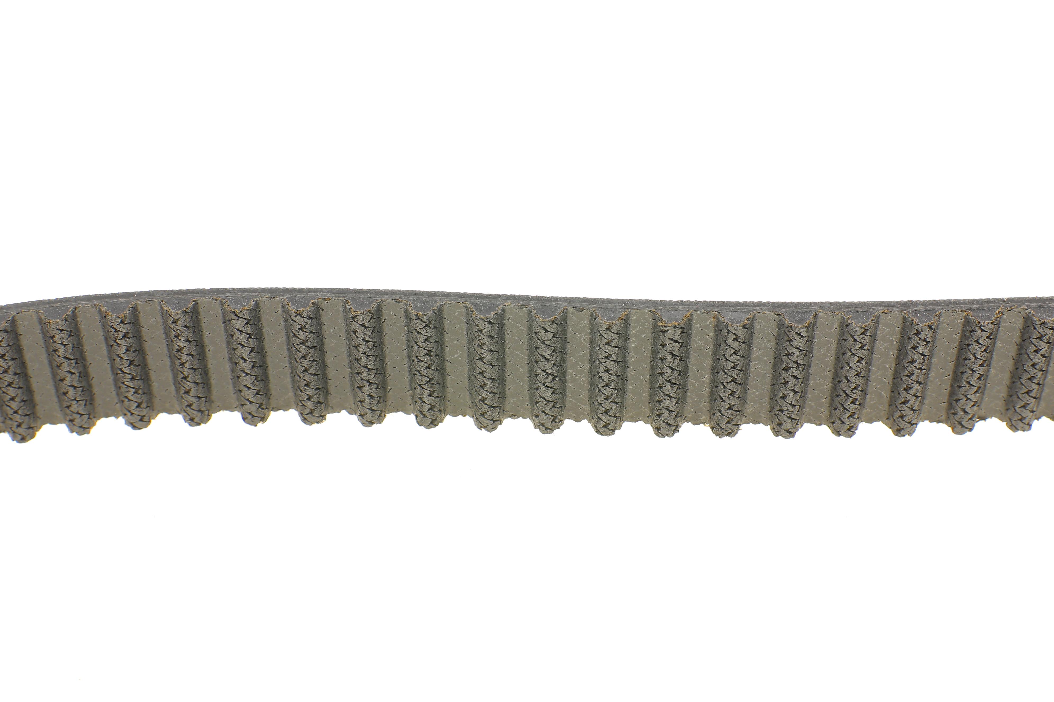 Ремінь ГРМ Skoda Octavia/Rapid/VW Crafter/Golf/Passat/Seat Leon 1.6/2.0TDI 12- (145x25)