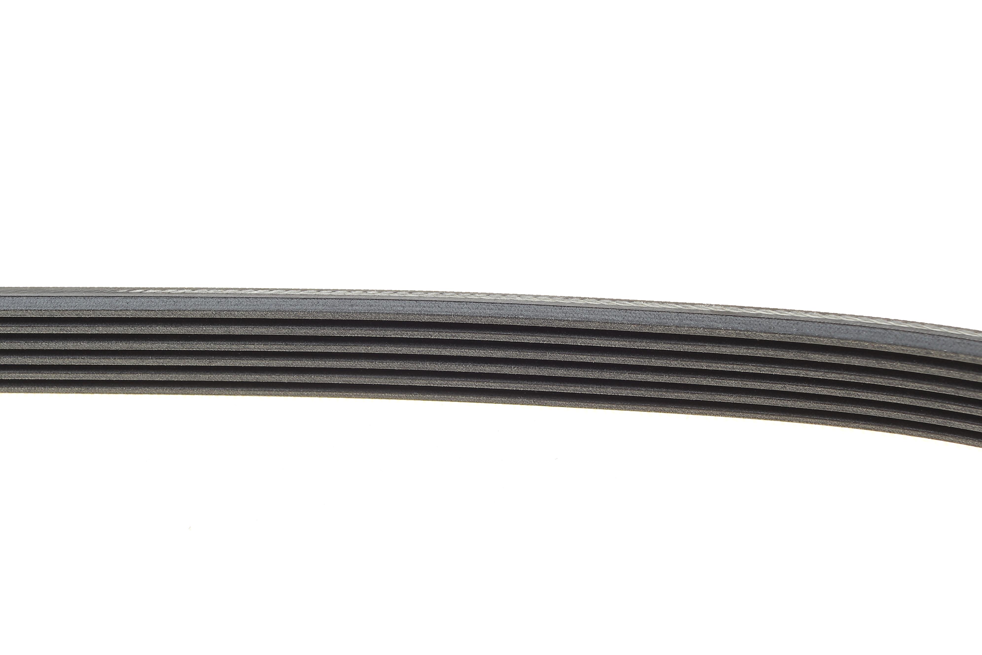 Ремінь генератора Fiat Punto 1.7TD 94-99/Honda Accord 2.0/2.3i 93-03