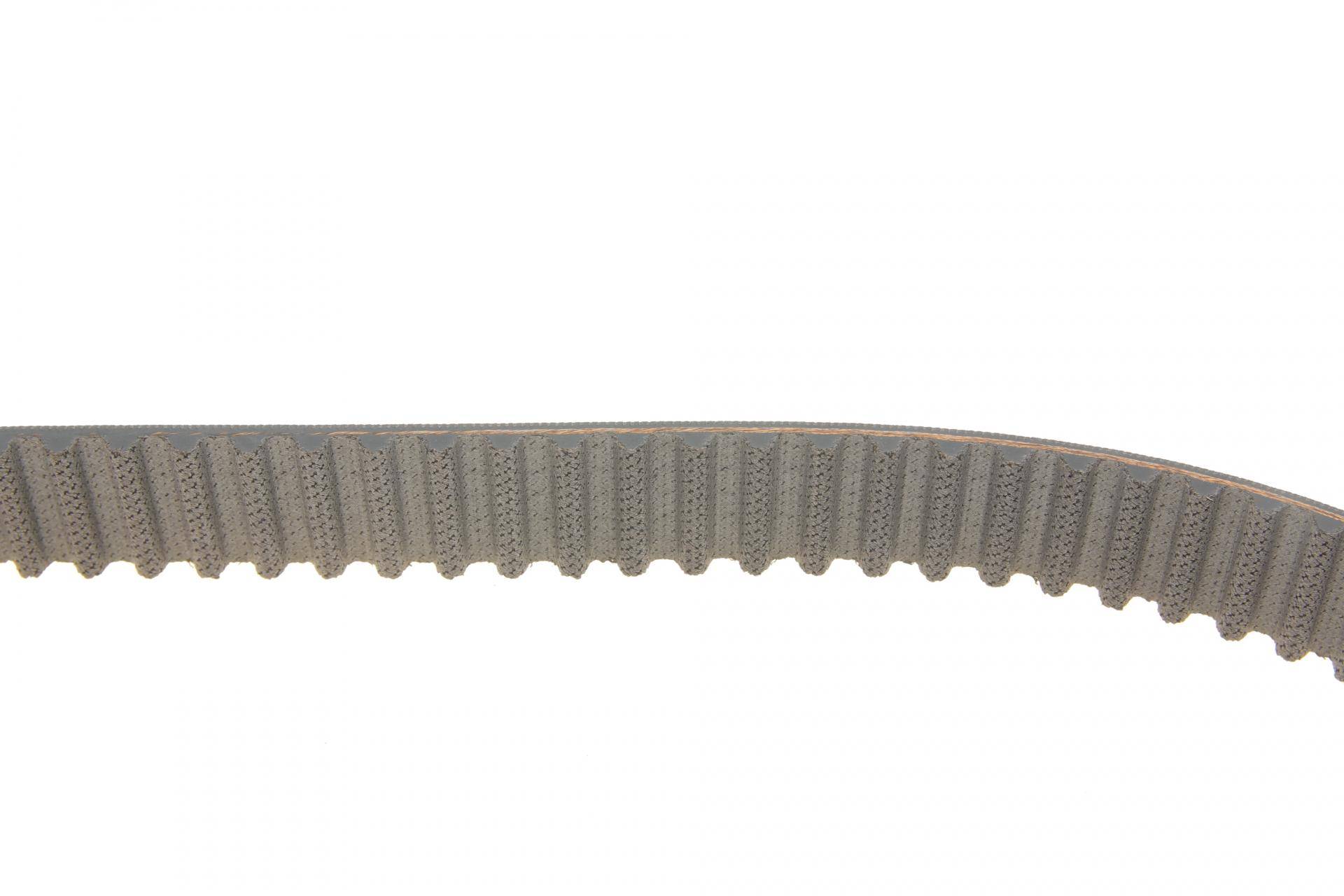 Комплект ГРМ VW Caddy III 1.9TDI/2.0SDI 04-10/VW T5 1.9TDI 03-09 (120x30)