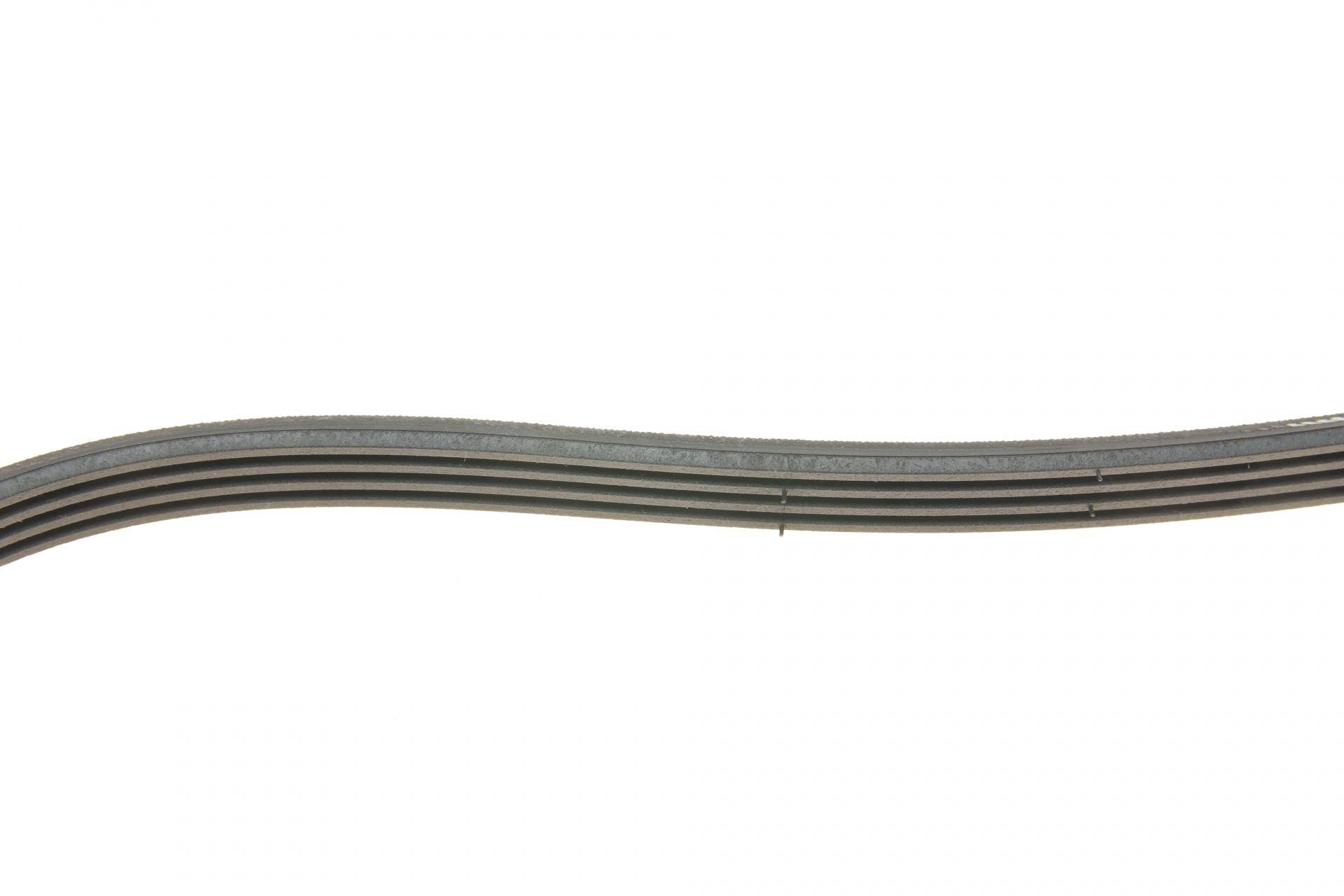 Ремінь генератора Ford Transit 2.0 TDCI 00-06 (4PK735)