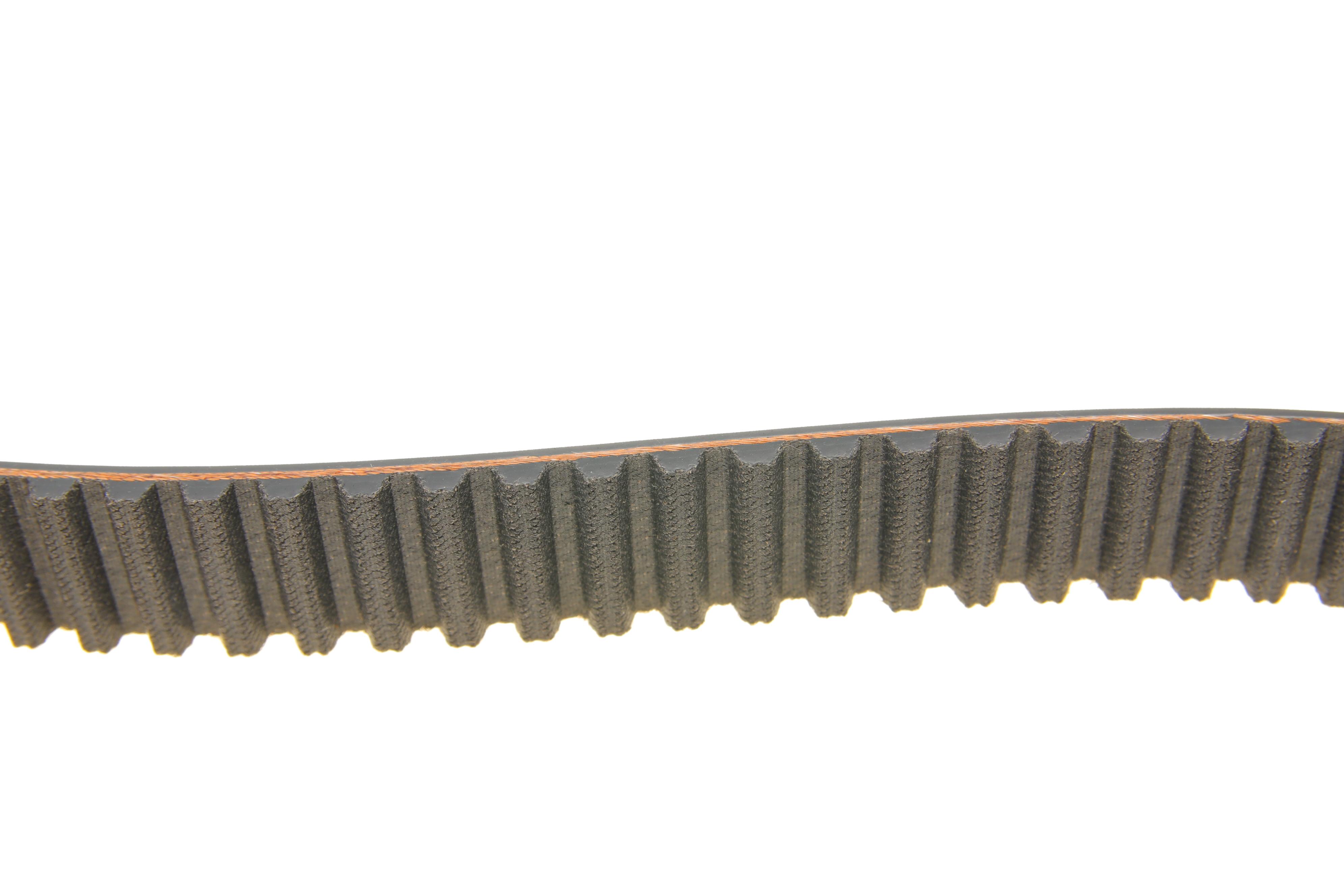 Ремінь ГРМ Fiat Ducato 1.9TD 89-02 (25x173z)