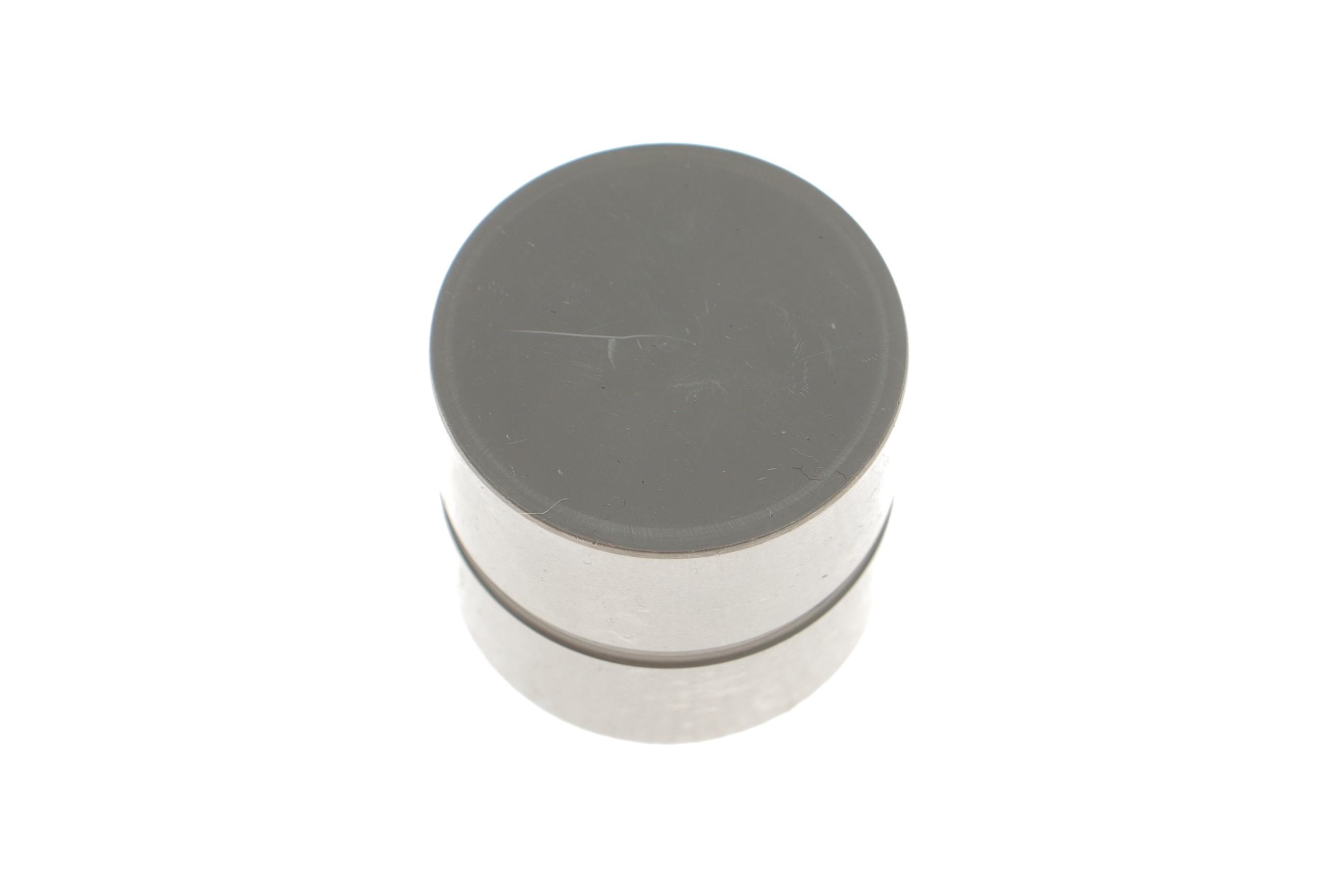 Гідрокомпенсатор Citroen Jumpy/Peugeot Expert 2.0i 00- (28.37x26)