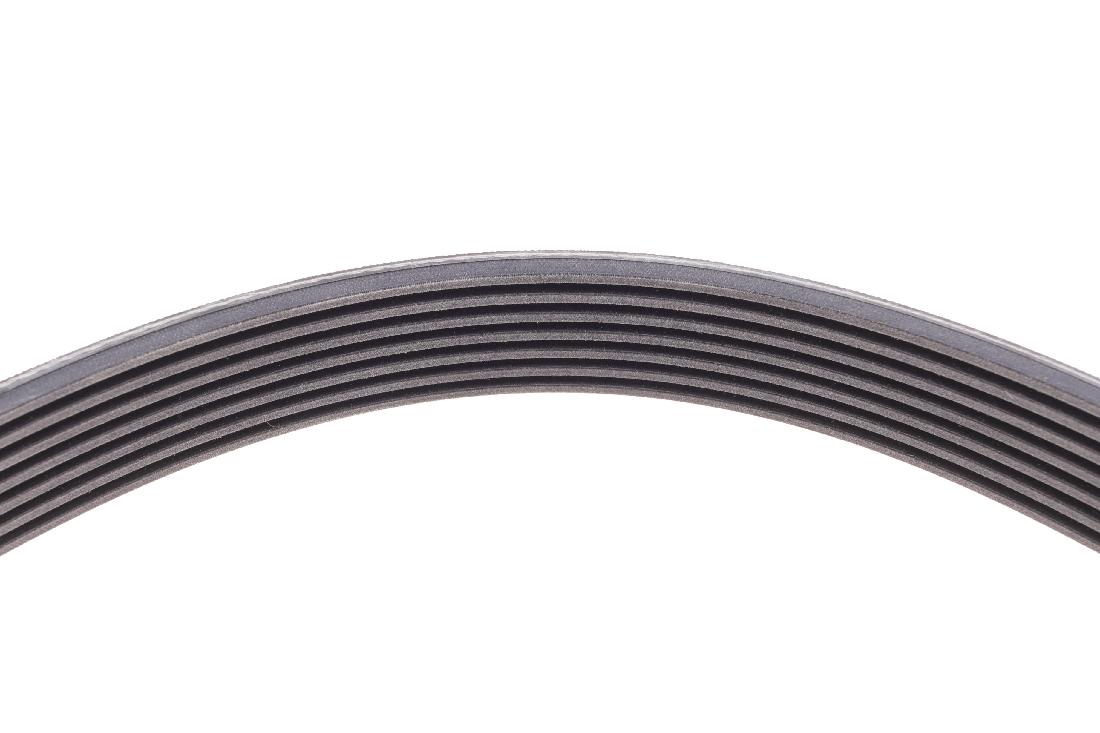 Ремінь генератора Opel Movano/Renault Trafic/Master 2.5 CDTI/dCi 03-