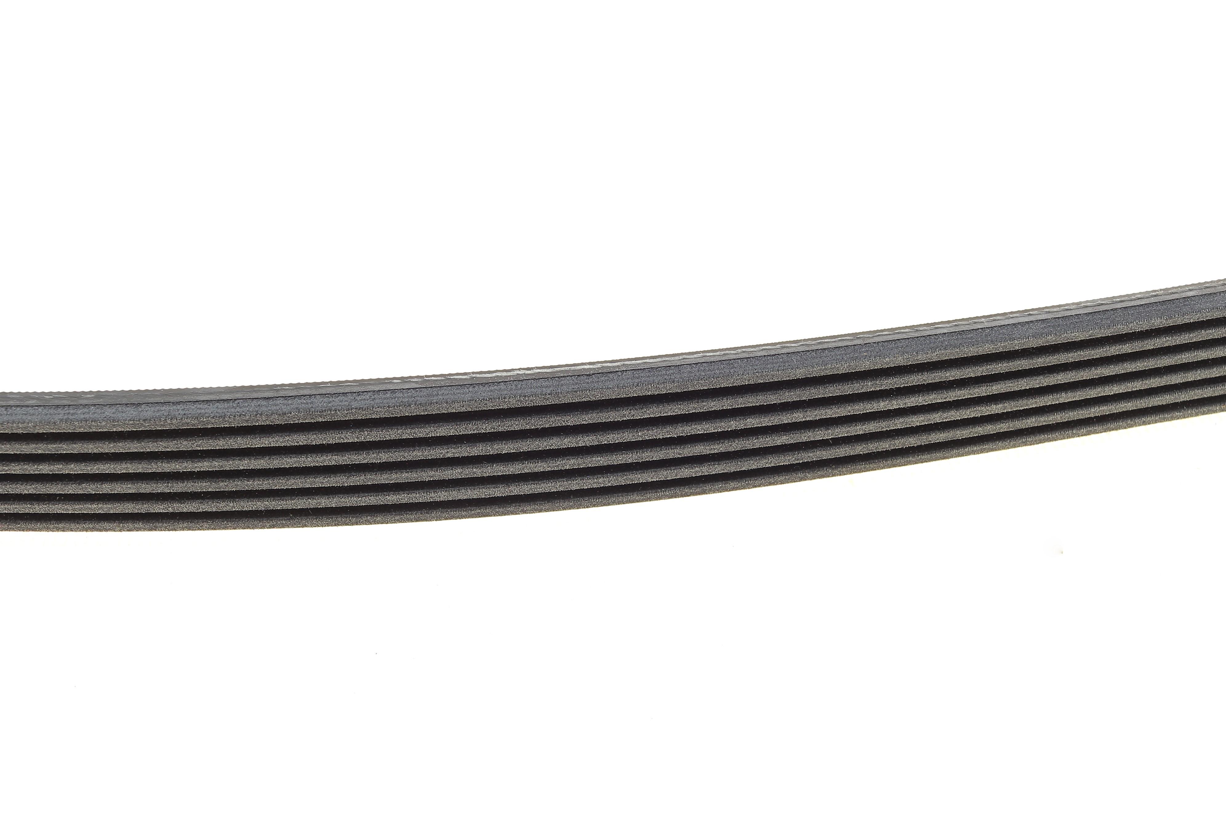 Ремінь генератора Citroen Berlingo/Fiat Scudo 1.9D (1868)