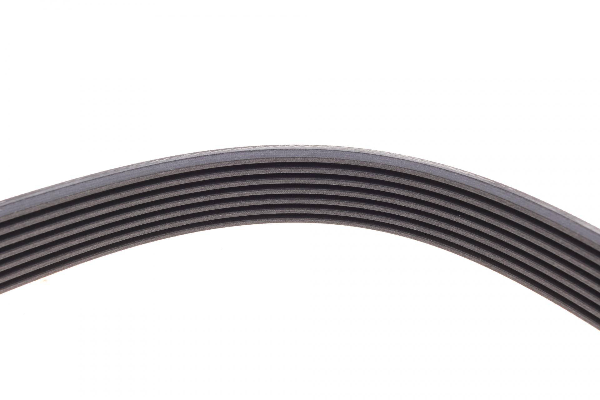 Ремінь генератора BMW 7 (E65/E66/E67) 4.0/4.5D 02-08/Honda Accord 2.0 03-08