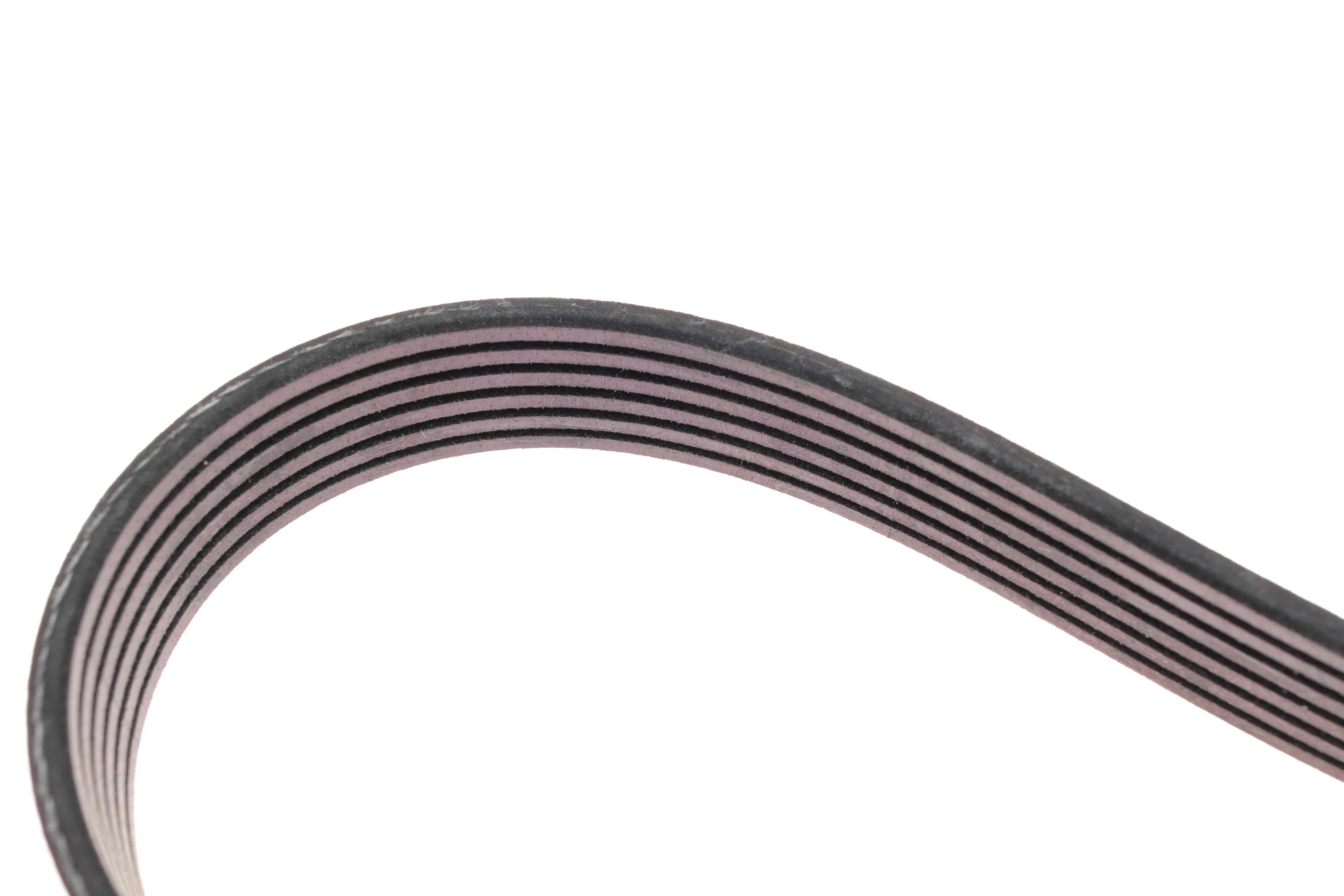 Ремінь генератора Opel Vectra 2.0/2.2 DTI 96-/ Nissan X-Trail/ Renault Koleos 2.5 07- (6PK1805)