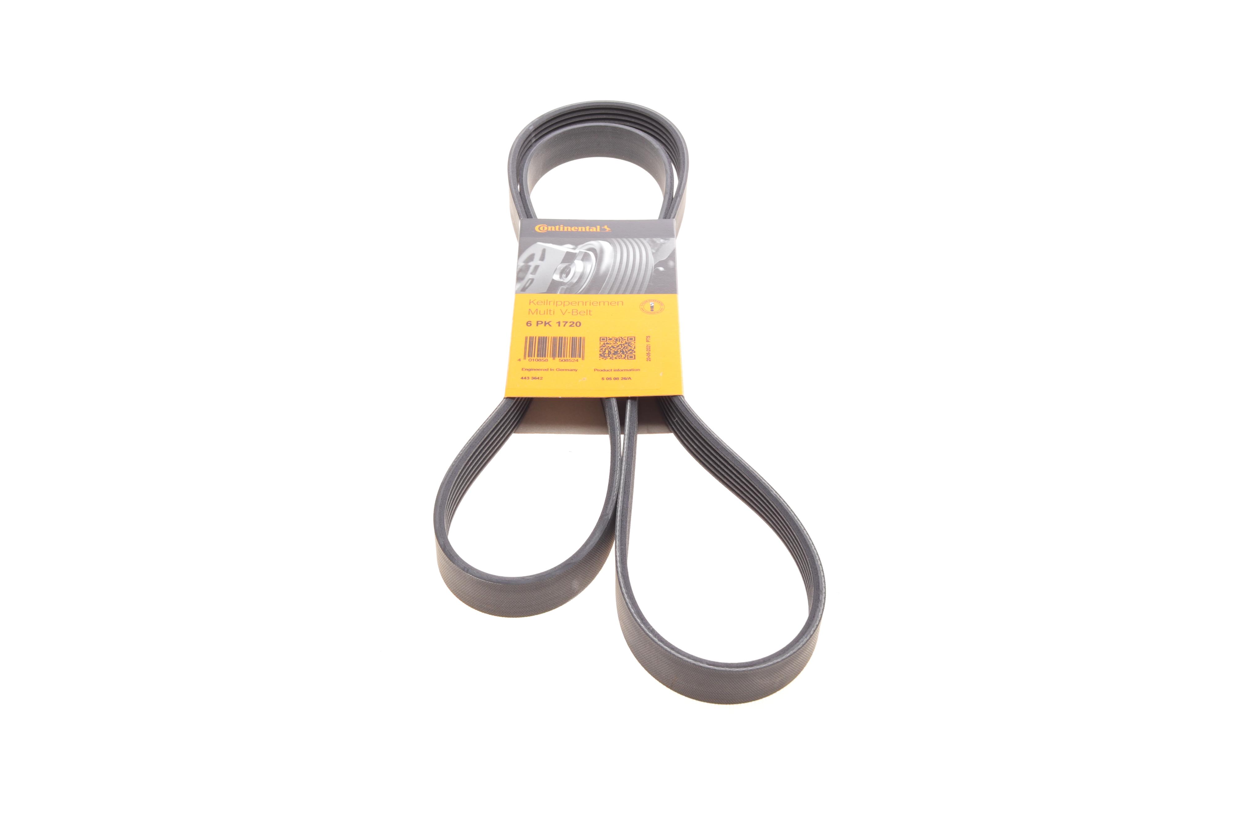 Ремінь генератора Ford Connect 1.8 TDCI