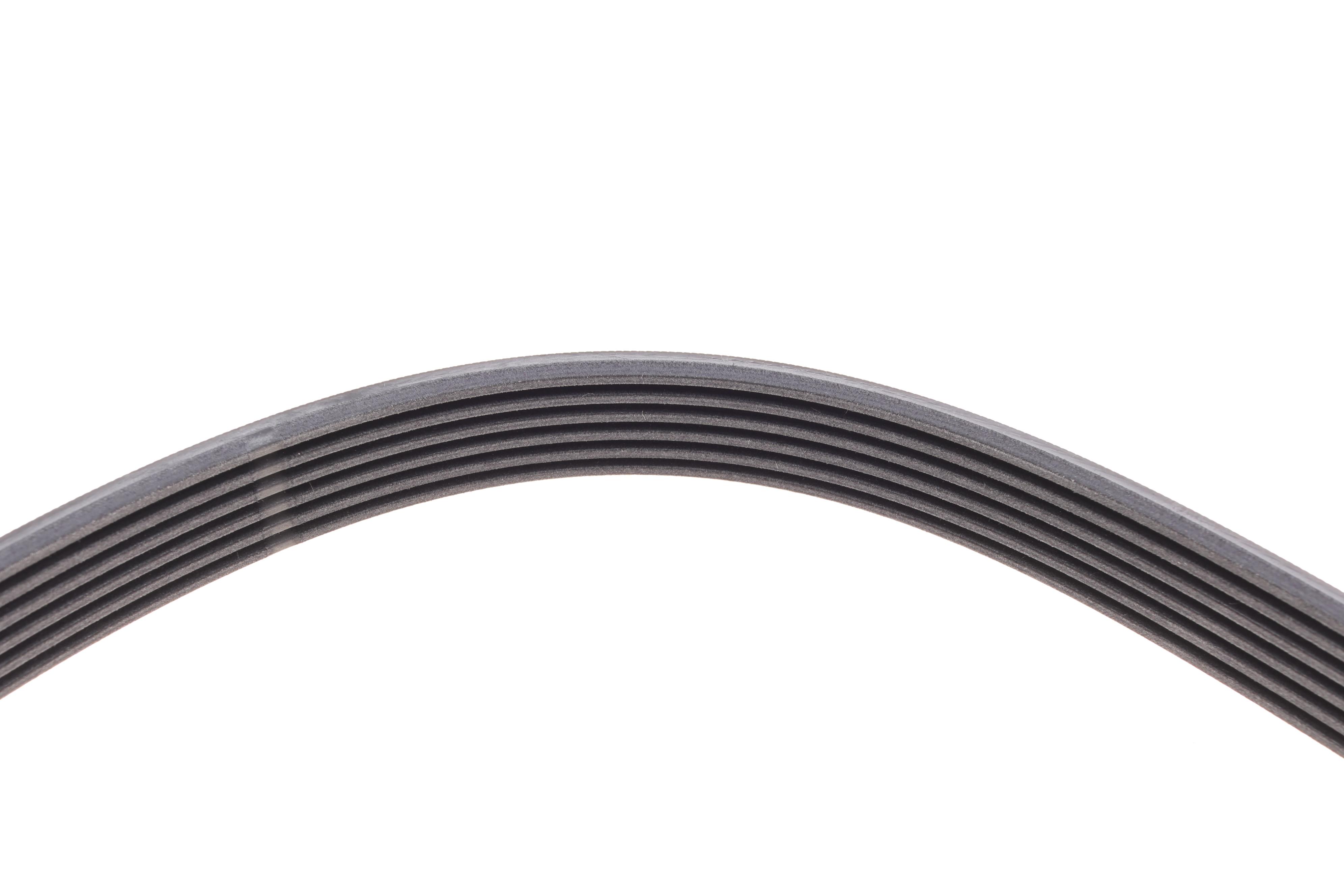 Ремінь генератора Ford Connect 1.8 TDCI