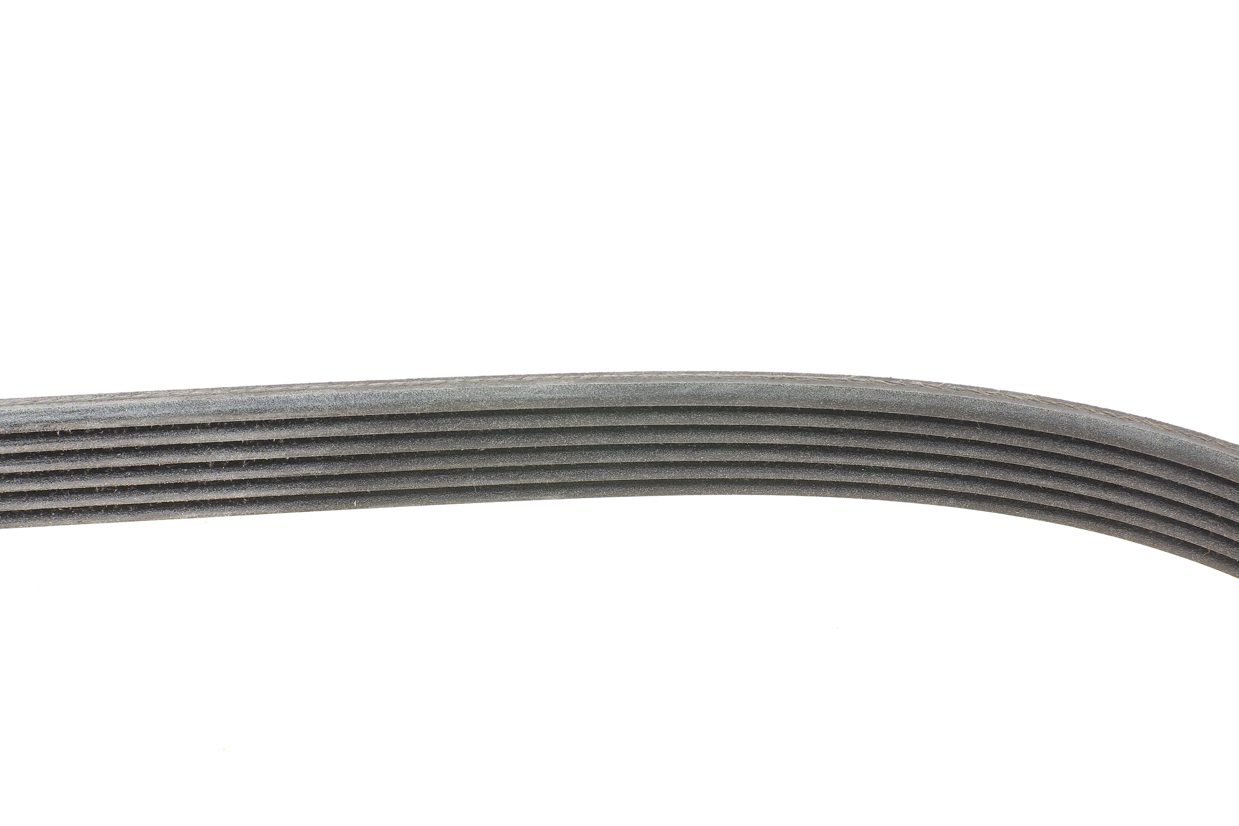 Ремінь генератора Ford Fiesta VI 1.25-1.6Ti 08-