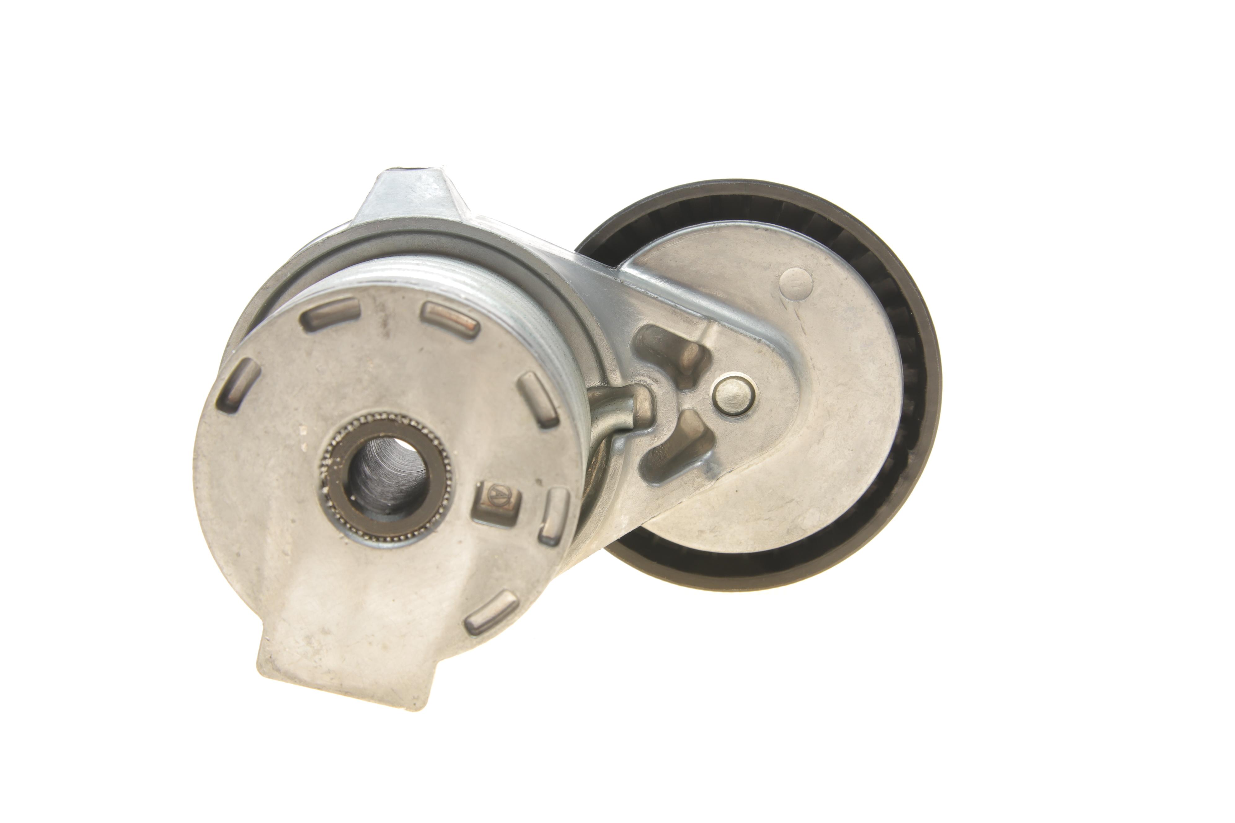 Комплект ременя генератора Renault Kangoo 1.5dCi 09- (6PK 1194)