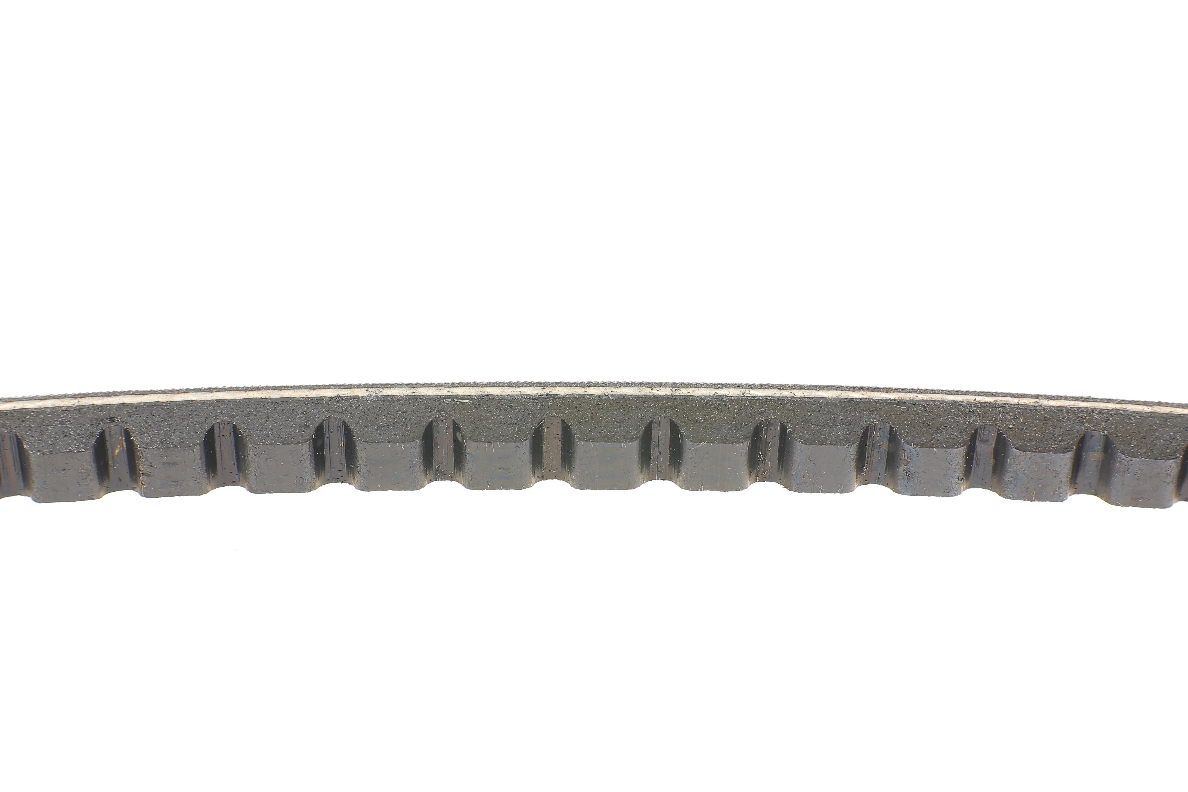 Ремінь генератора Citroen/Fiat/Nissan/Toyota/VW (10x838)