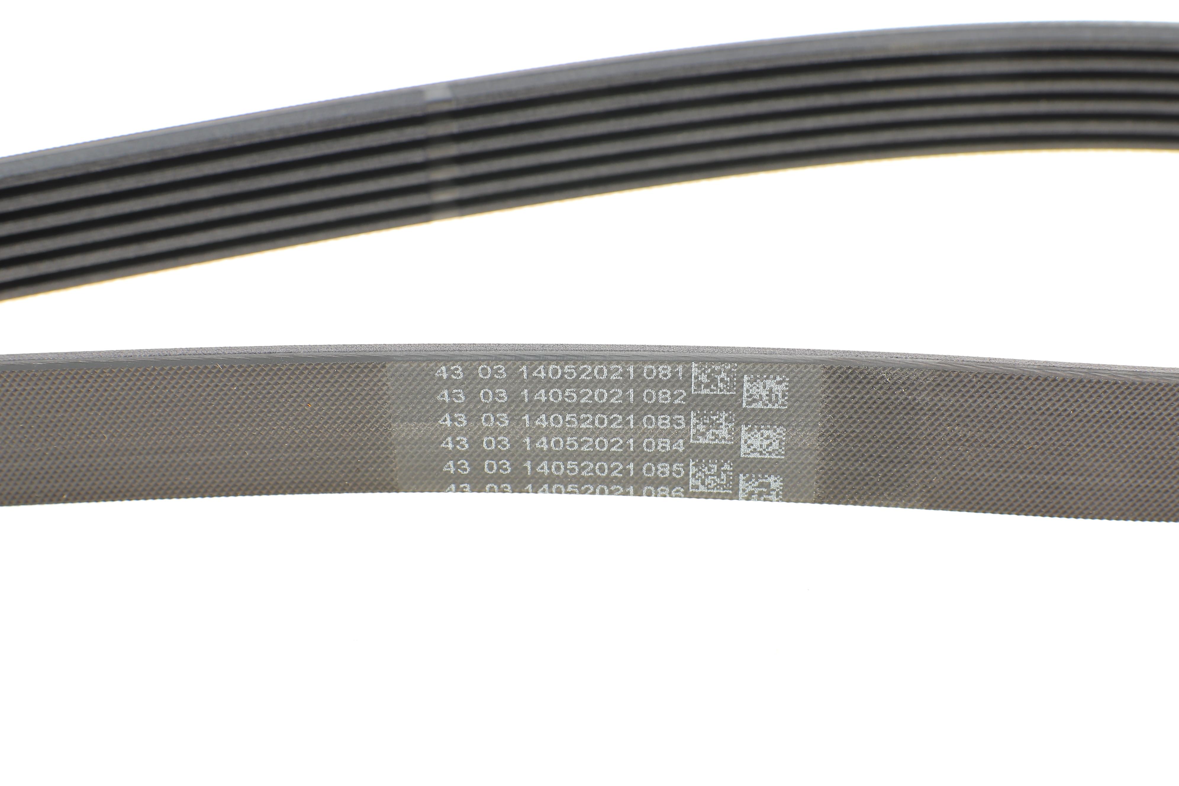 Ремінь генератора Ford Transit Connect/Focus/Fiesta 1.0 EcoBoost 13-