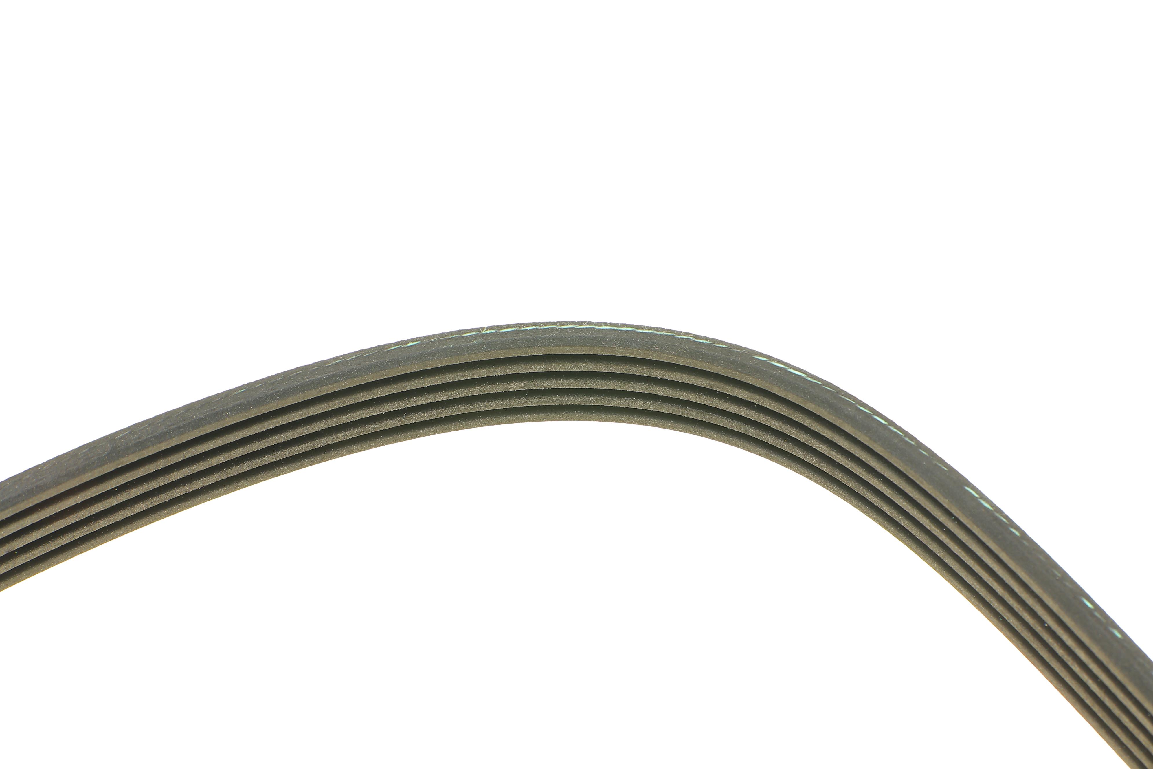 Ремінь генератора BMW 5 (E39) M51 D25/Opel Omega B 2.5D/2.5TD 94-03