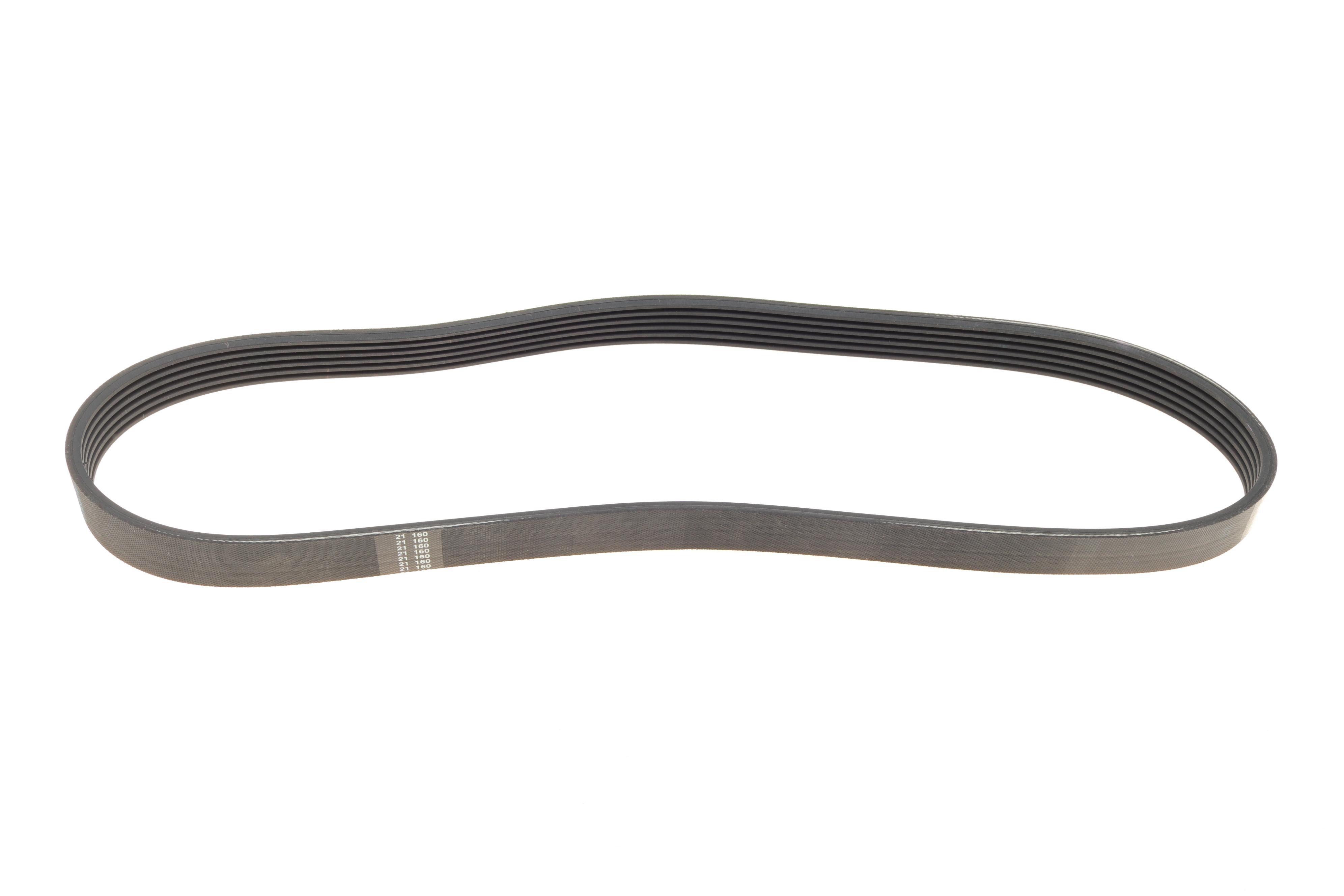 Ремінь генератора VW Caddy/Golf/Skoda Octavia 1.6/2.0 04-15/Fiat Ducato 2.5TDI 94-02/Scudo 1.6 96-06