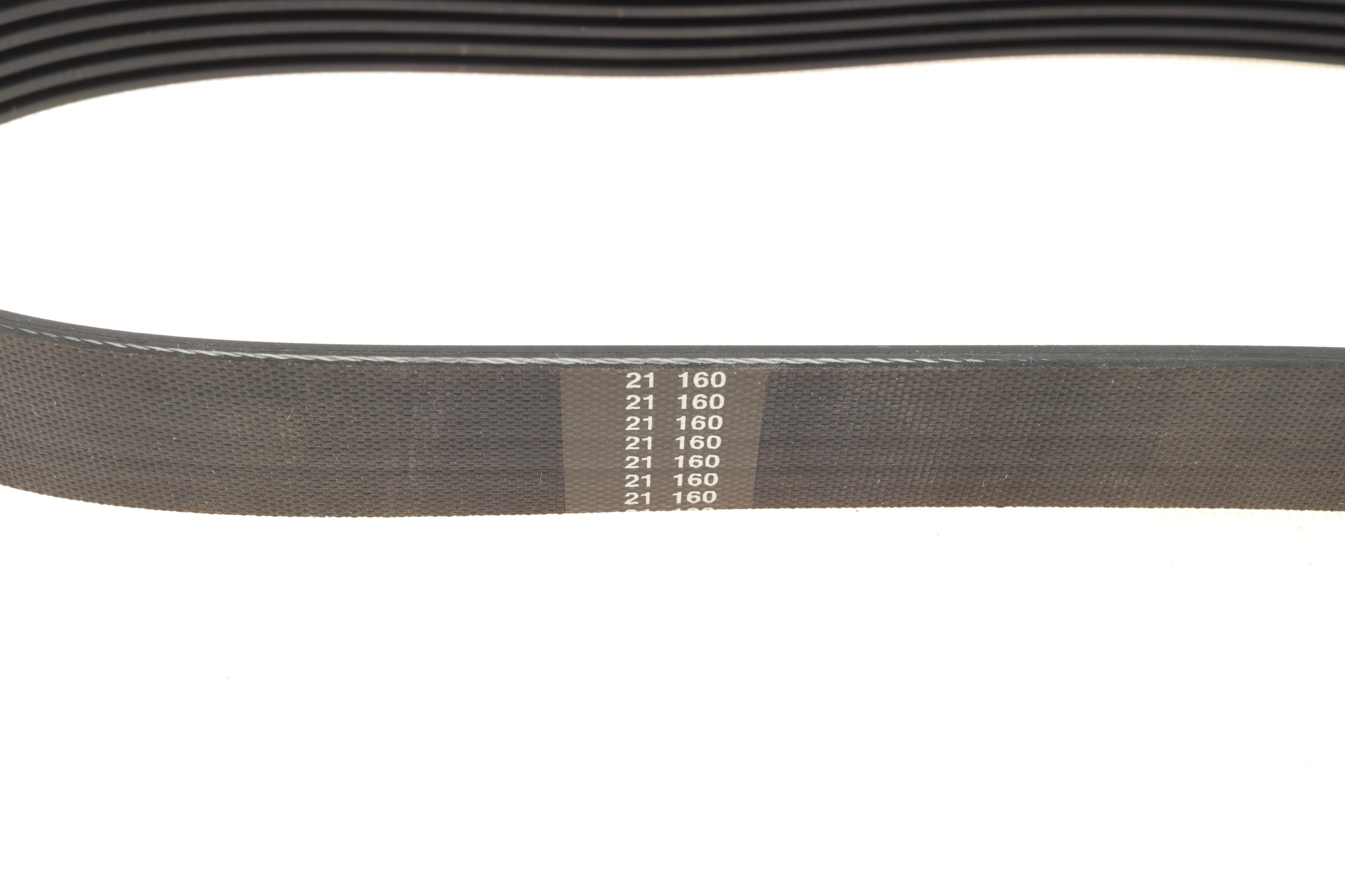 Ремінь генератора VW Caddy/Golf/Skoda Octavia 1.6/2.0 04-15/Fiat Ducato 2.5TDI 94-02/Scudo 1.6 96-06