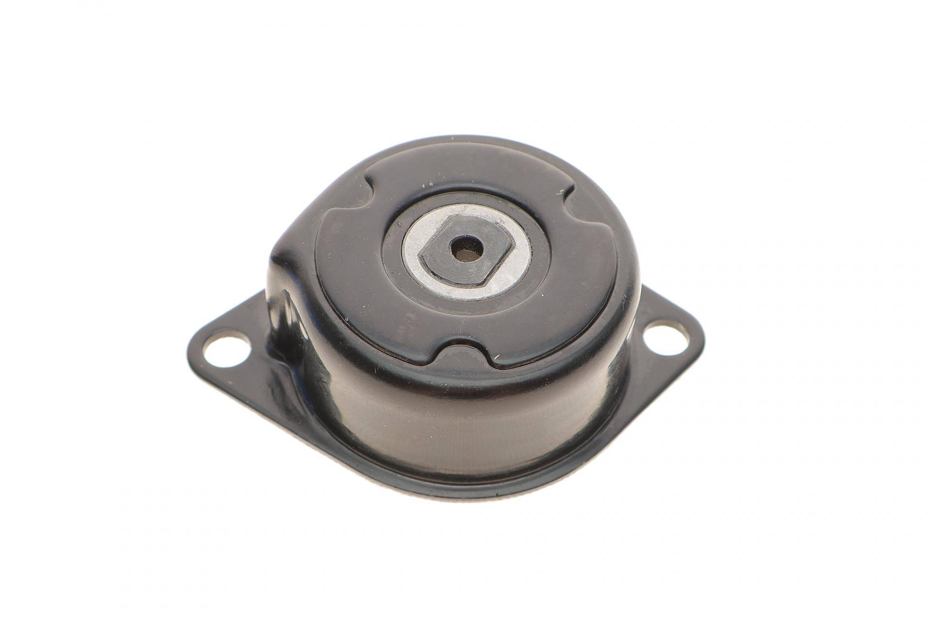 Натяжник ременя генератора VW T4 2.5/1.9TD/2.4D 89-10