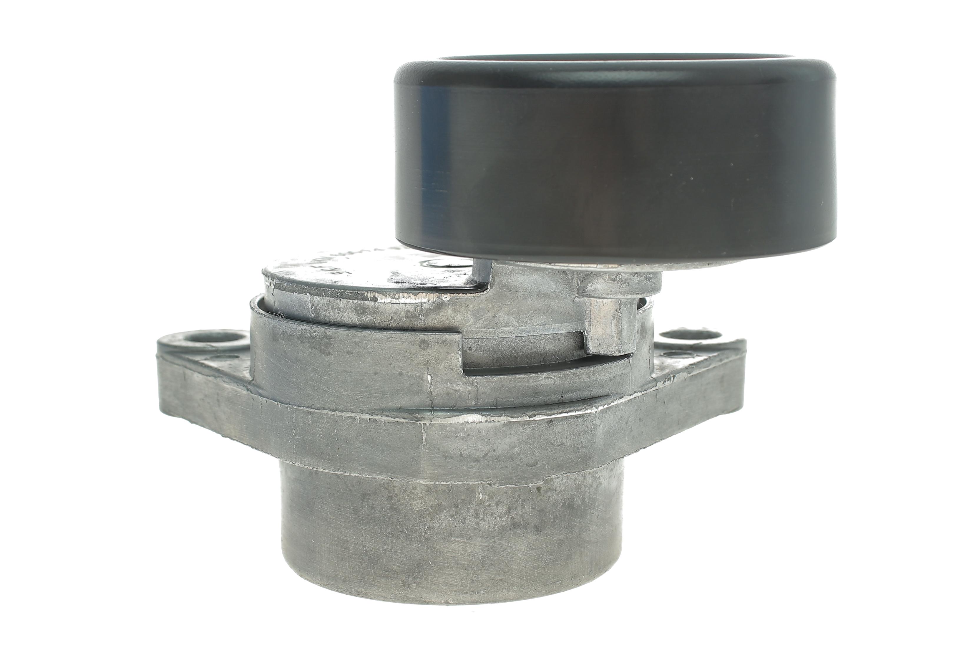 Натяжник ременя генератора Chevrolet Aveo/Lacetti 1.4-1.6 03- (76x26)