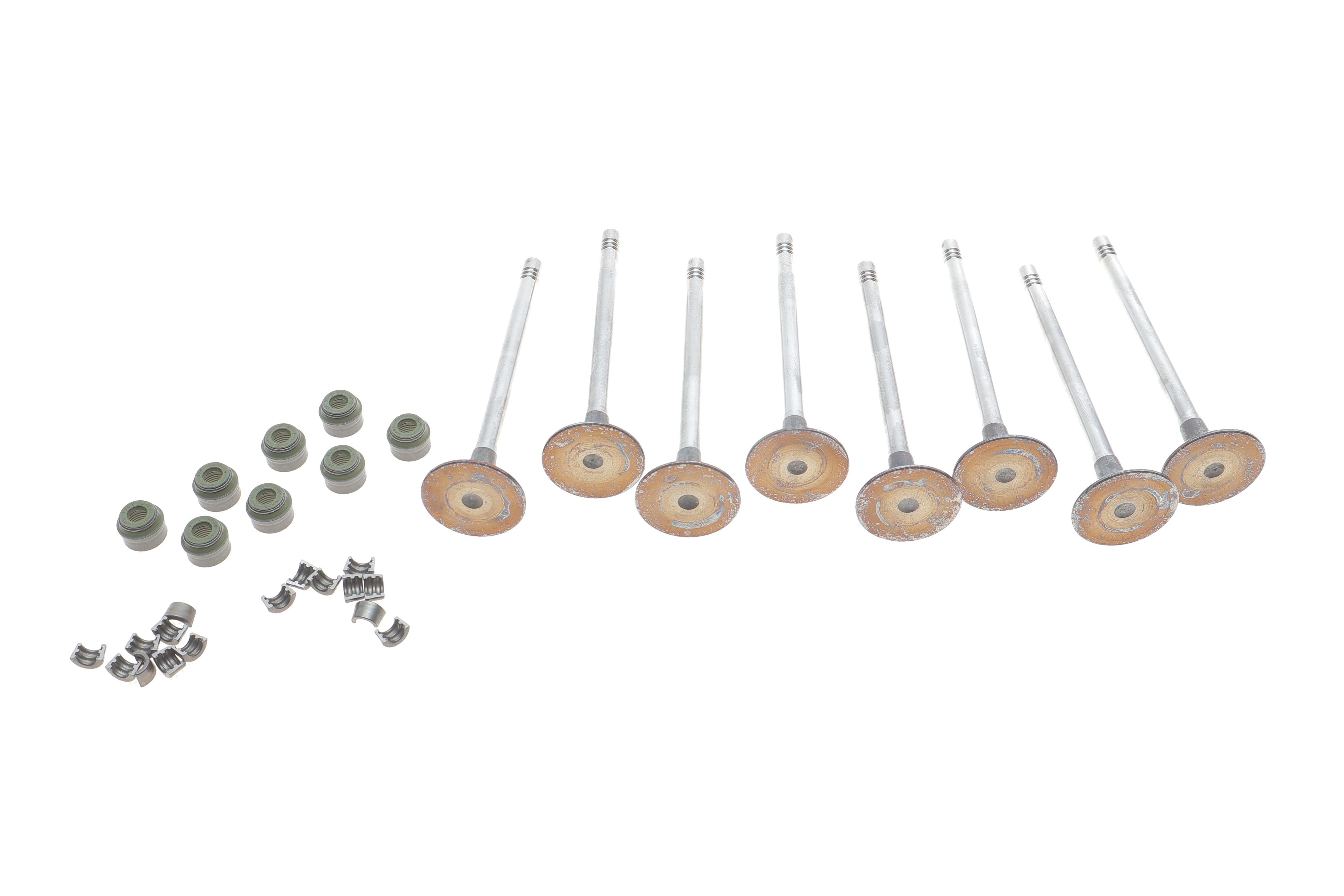 Клапан (впуск) Renault Trafic 2.0dСi 06- (к-кт 8 шт)