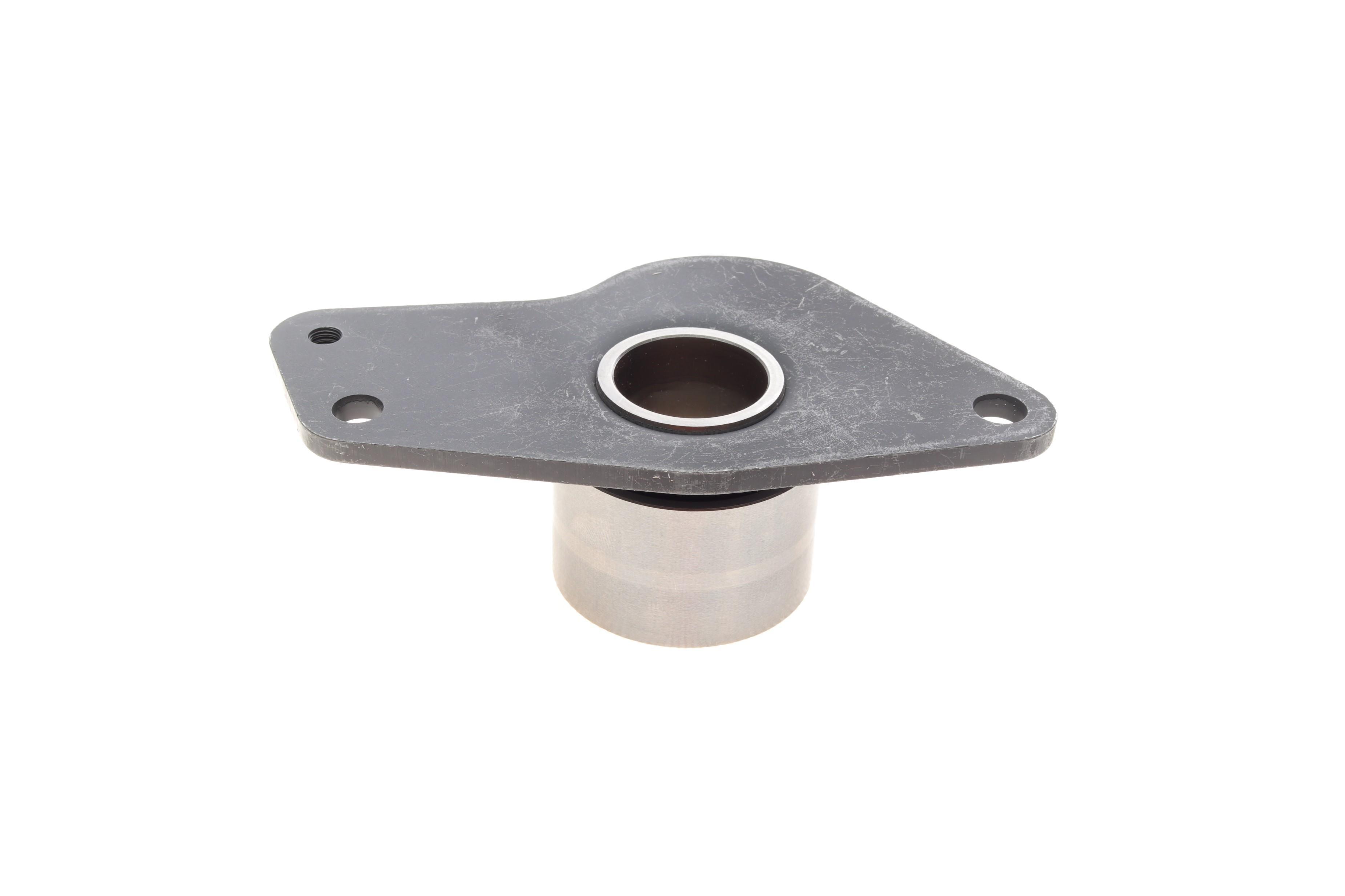 Ролик ГРМ Renault Kangoo 1.9D (паразитний) (50х30.8), F8Q